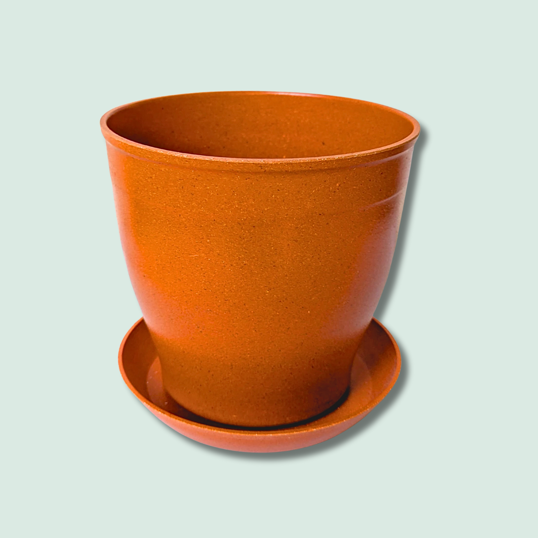 6" Rice Hull Planter