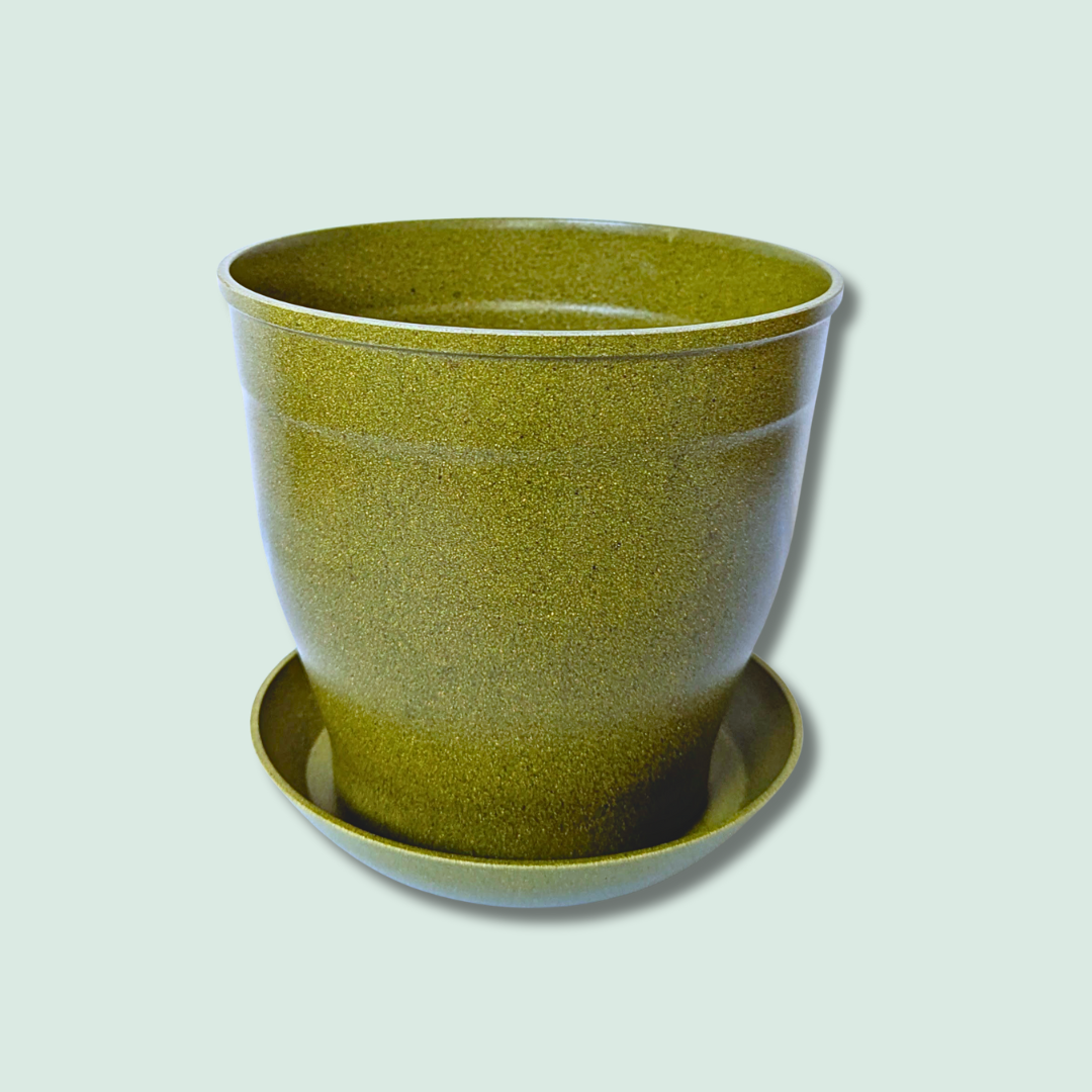 6" Rice Hull Planter