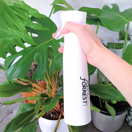 Continuous Plant Mister - Lost in the Forest