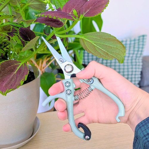 Foliage Shears - Lost in the Forest