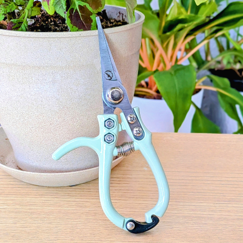 Foliage Shears - Lost in the Forest