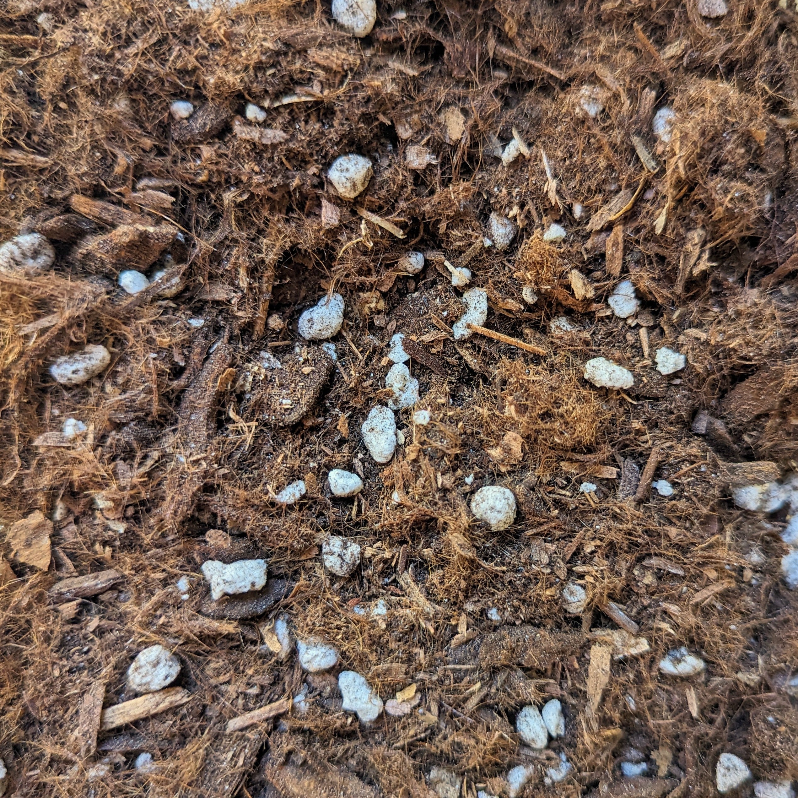Houseplant Potting Mix