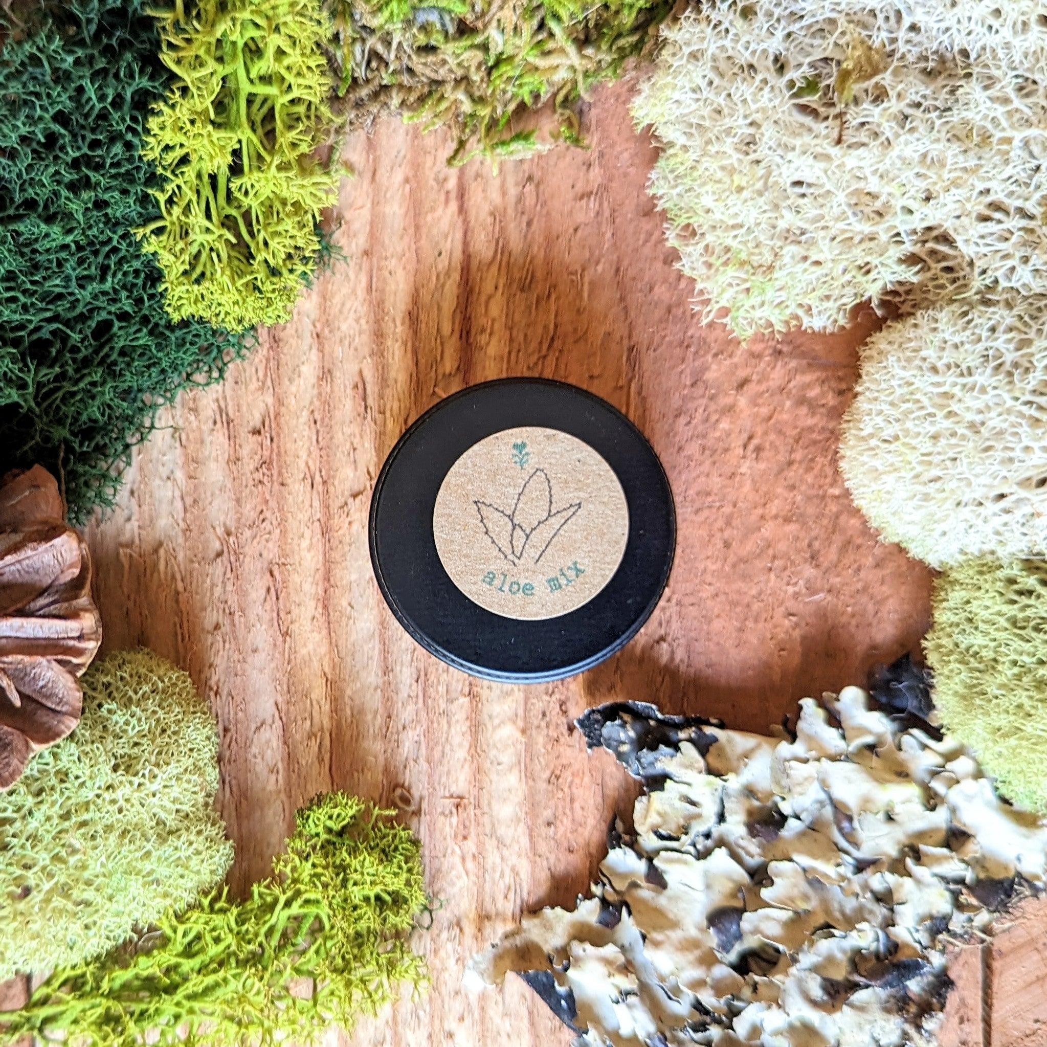 Aloe Mix Seeds - Plantflix