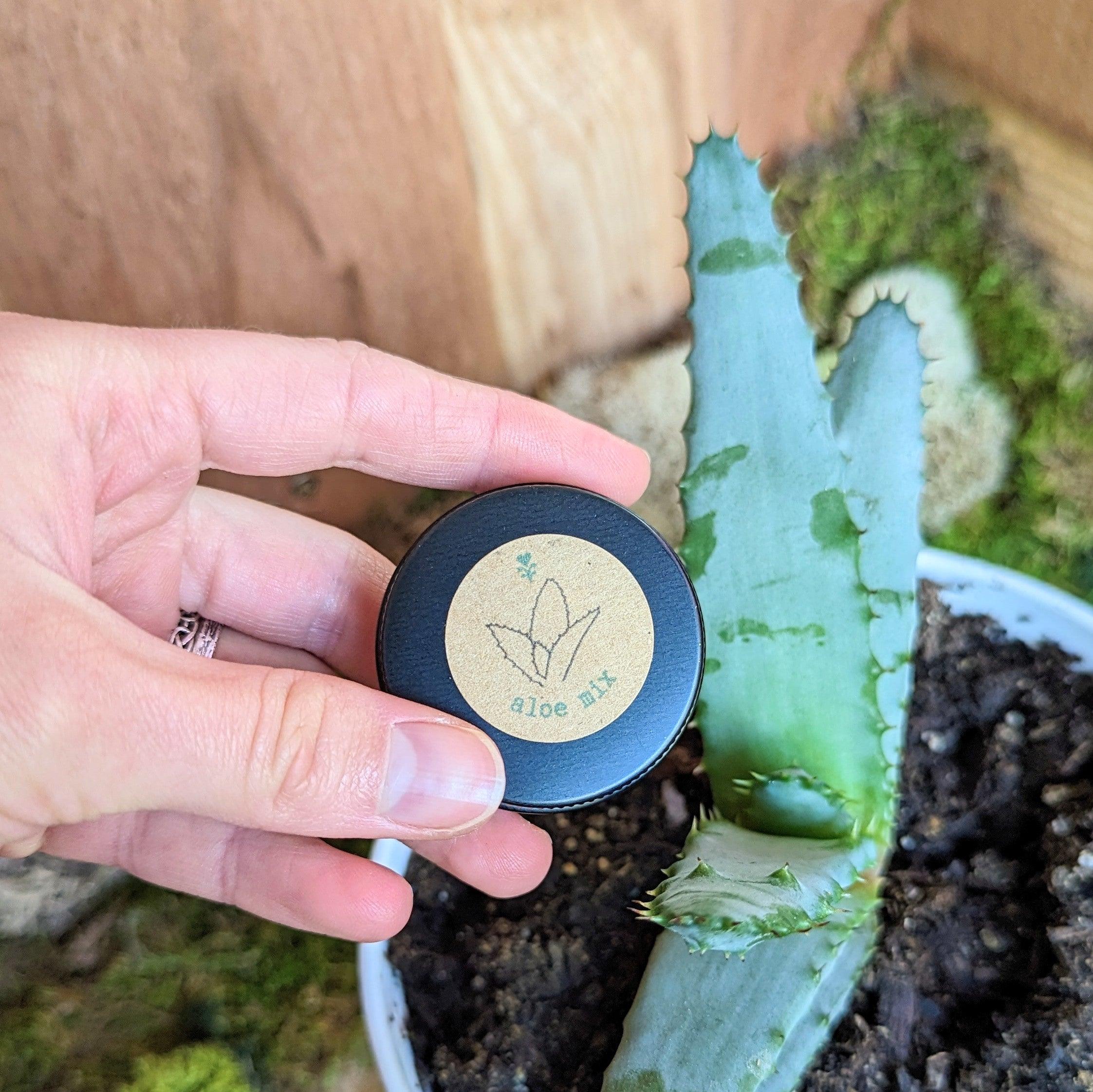 Aloe Mix Seeds - Plantflix