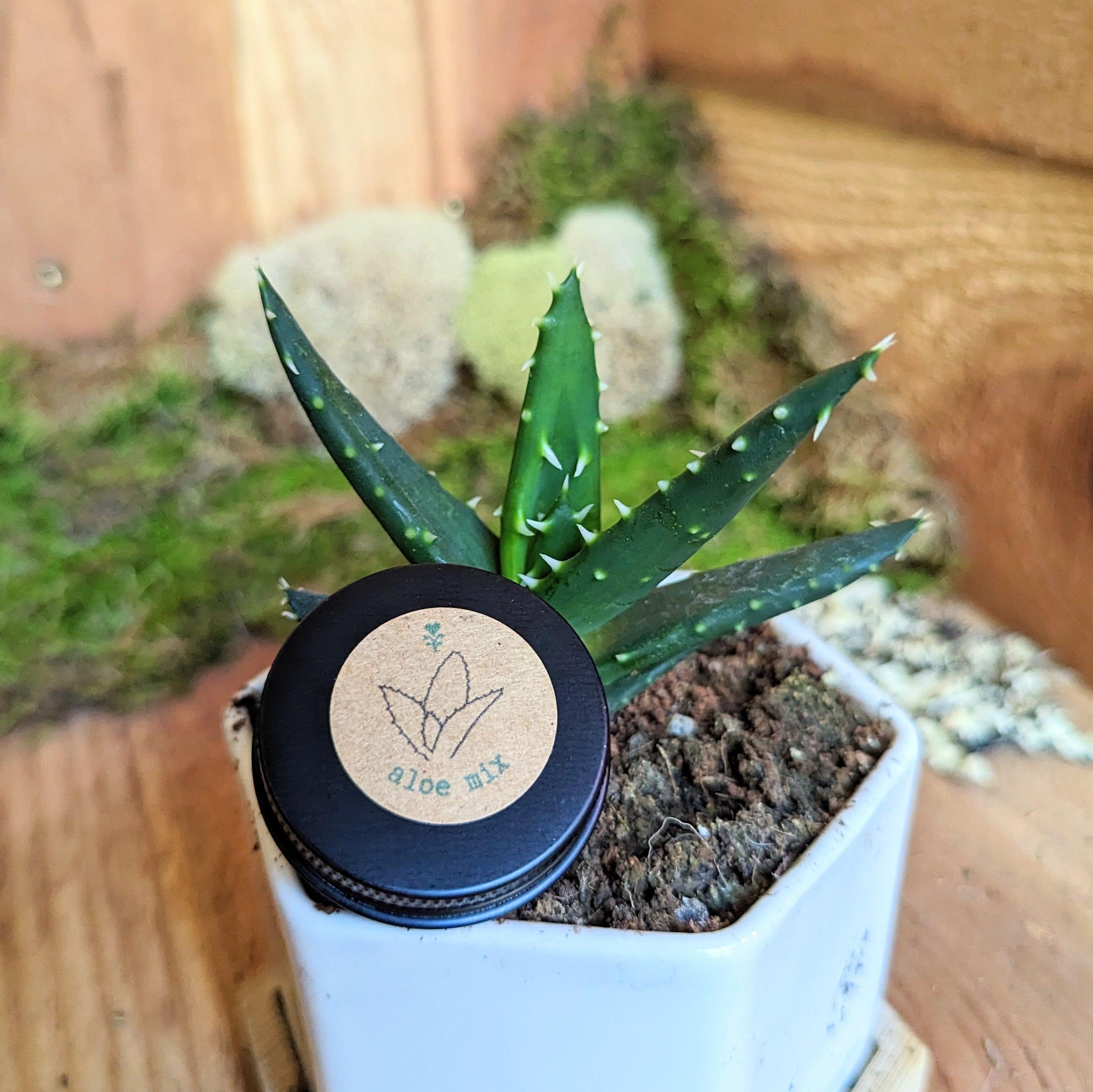 Aloe Mix Seeds - Plantflix