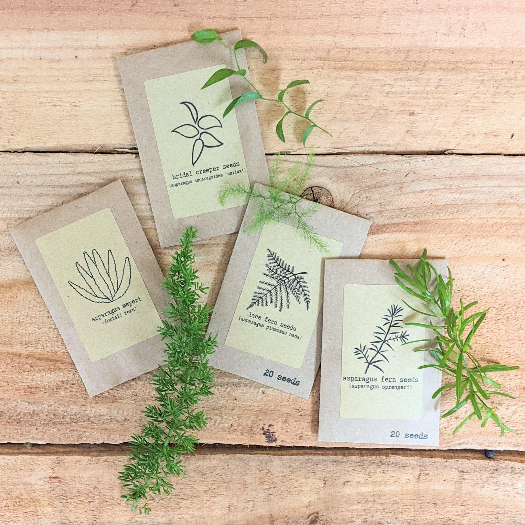 "Asparagus Fern" Houseplant Seed Collection - Plantflix