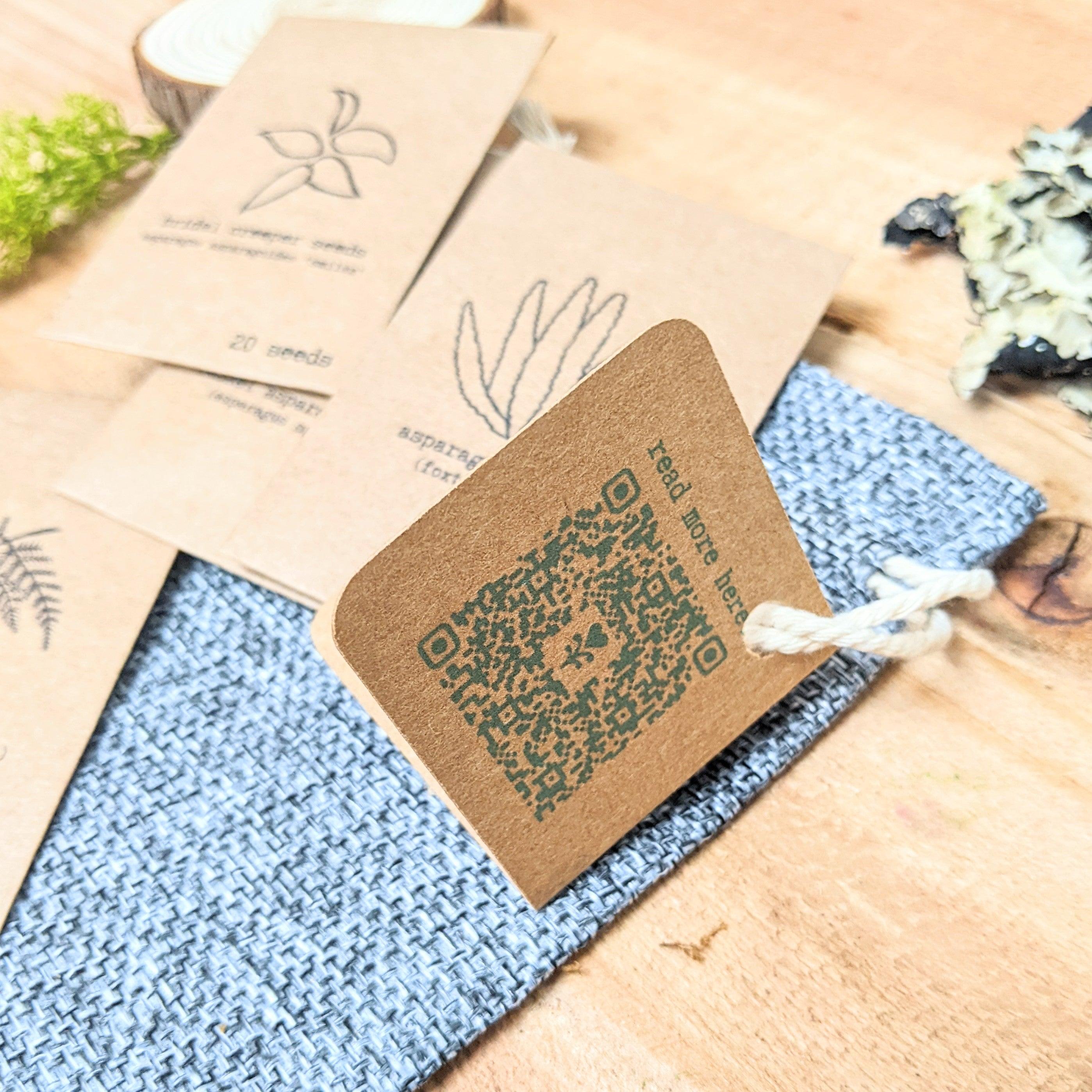 "Asparagus Fern" Houseplant Seed Collection - Plantflix