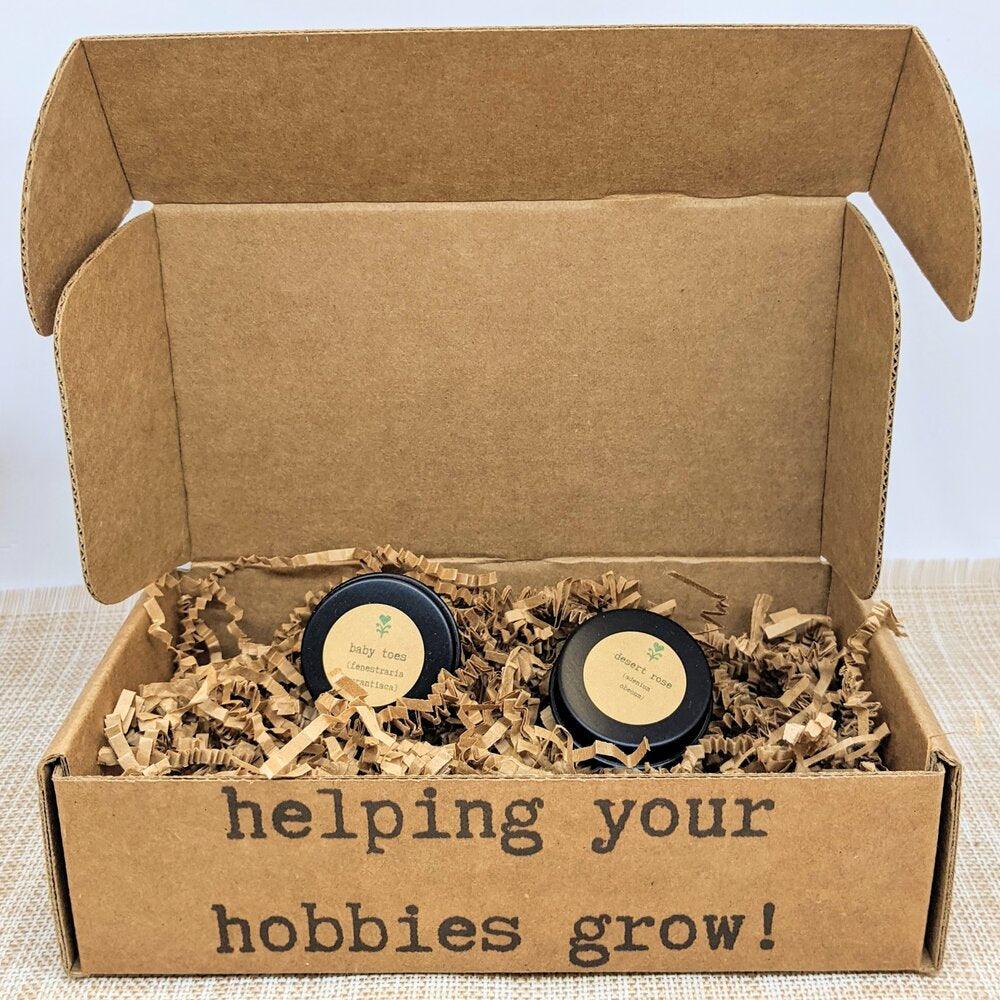 "Back to Our Roots" Seed Subscription Box - Plantflix