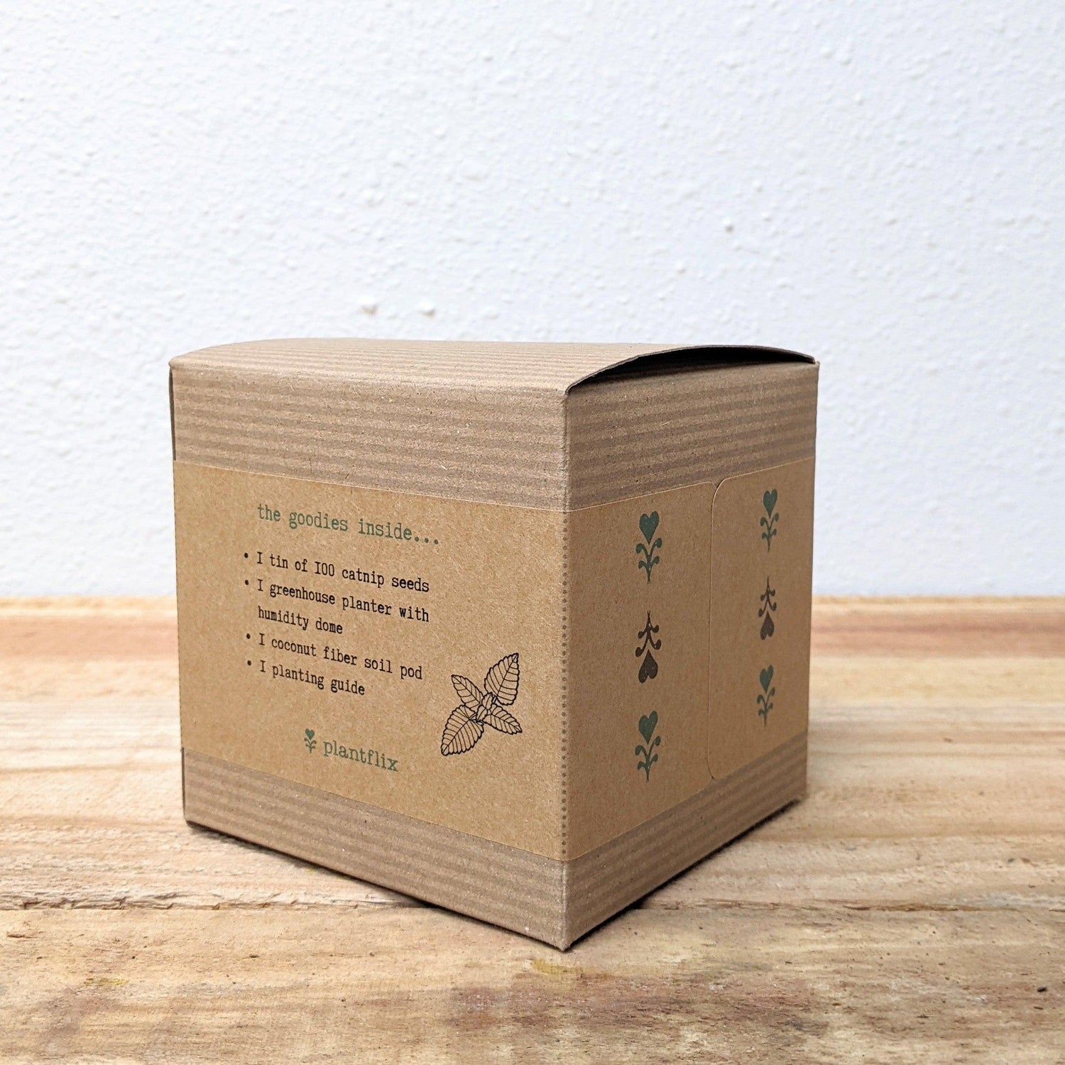 Catnip Beginner Grow Kit - Plantflix