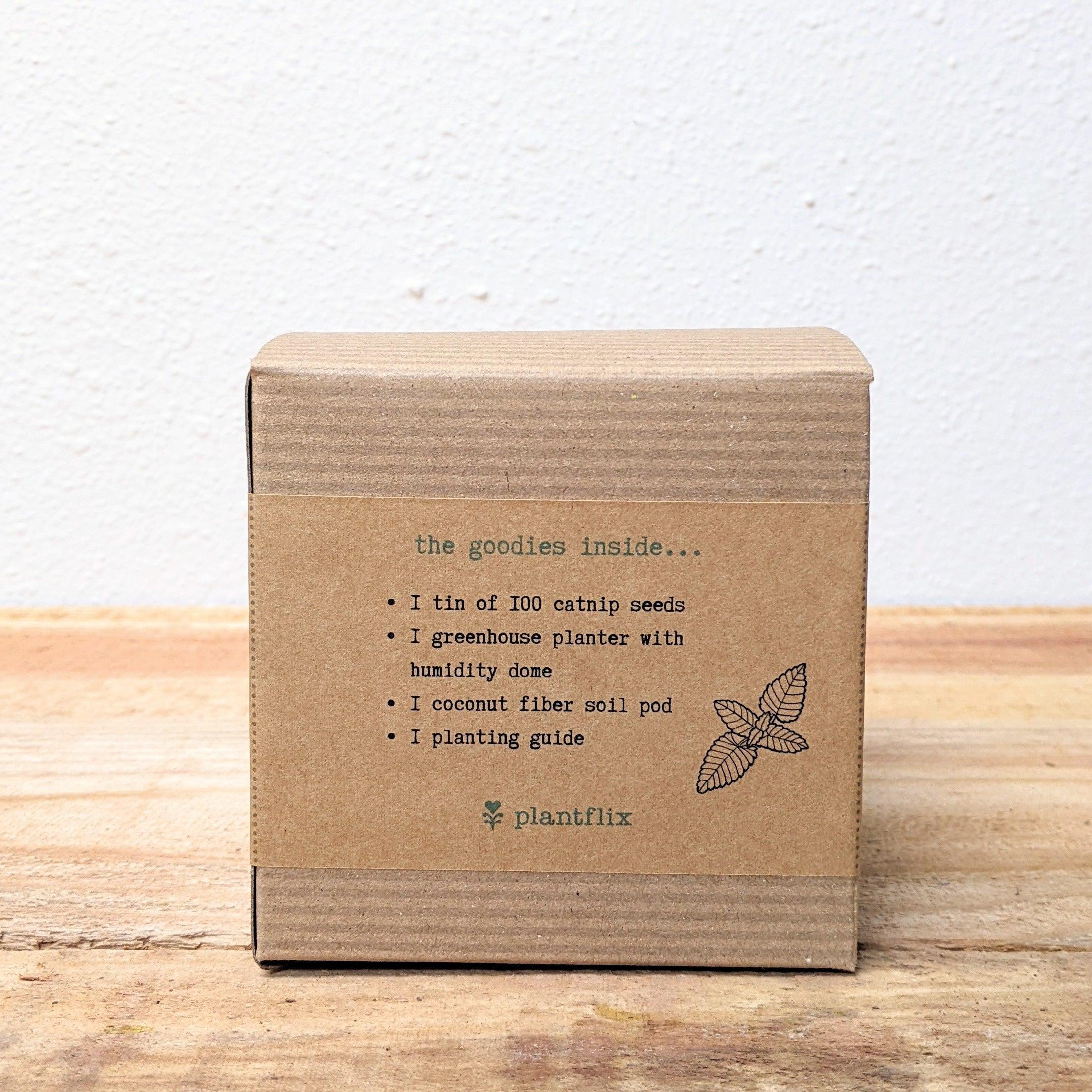 Catnip Beginner Grow Kit - Plantflix