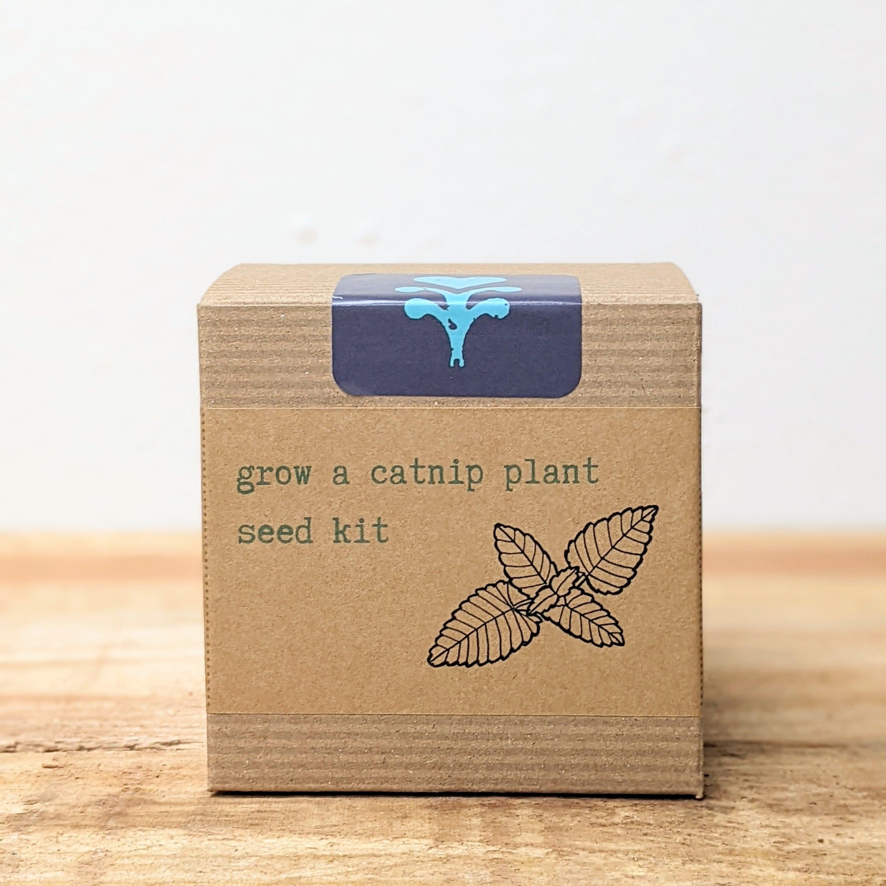 Catnip Beginner Grow Kit - Plantflix
