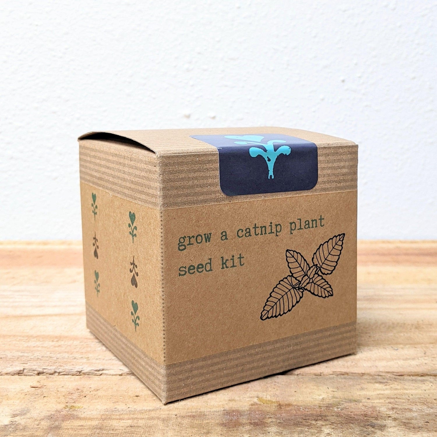 Catnip Beginner Grow Kit - Plantflix