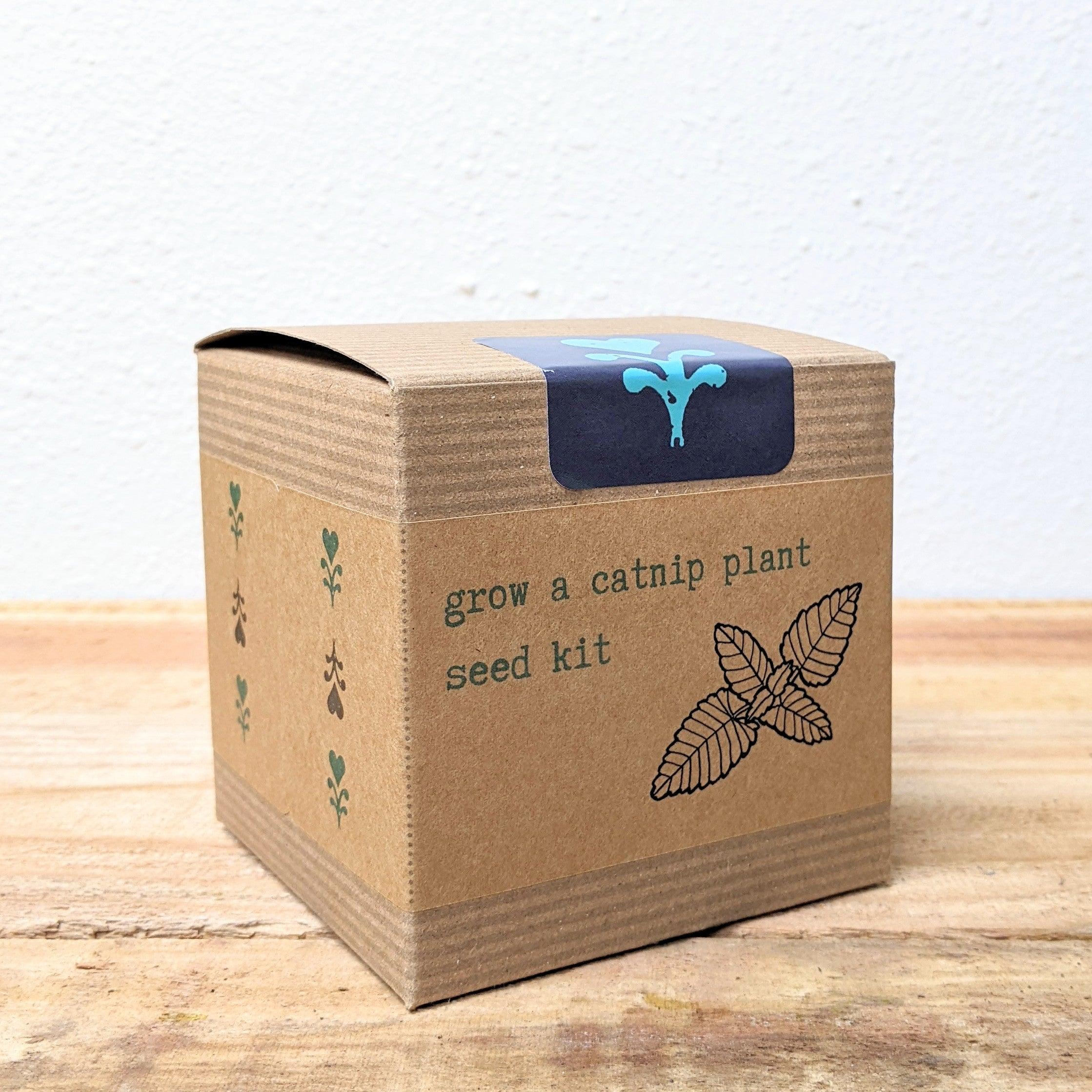 Catnip Beginner Grow Kit - Plantflix