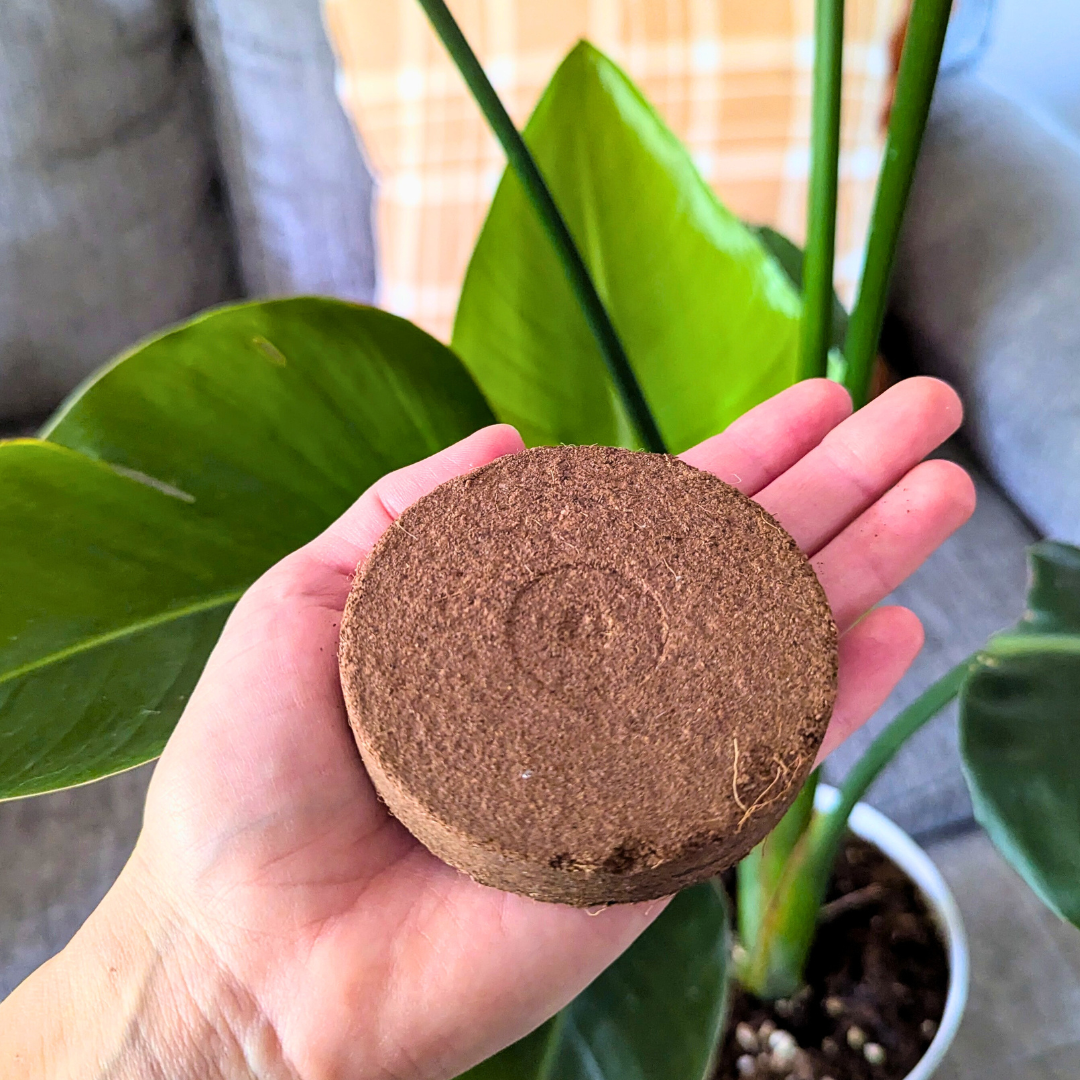 Coconut Fiber Soil Pod Pack - Plantflix