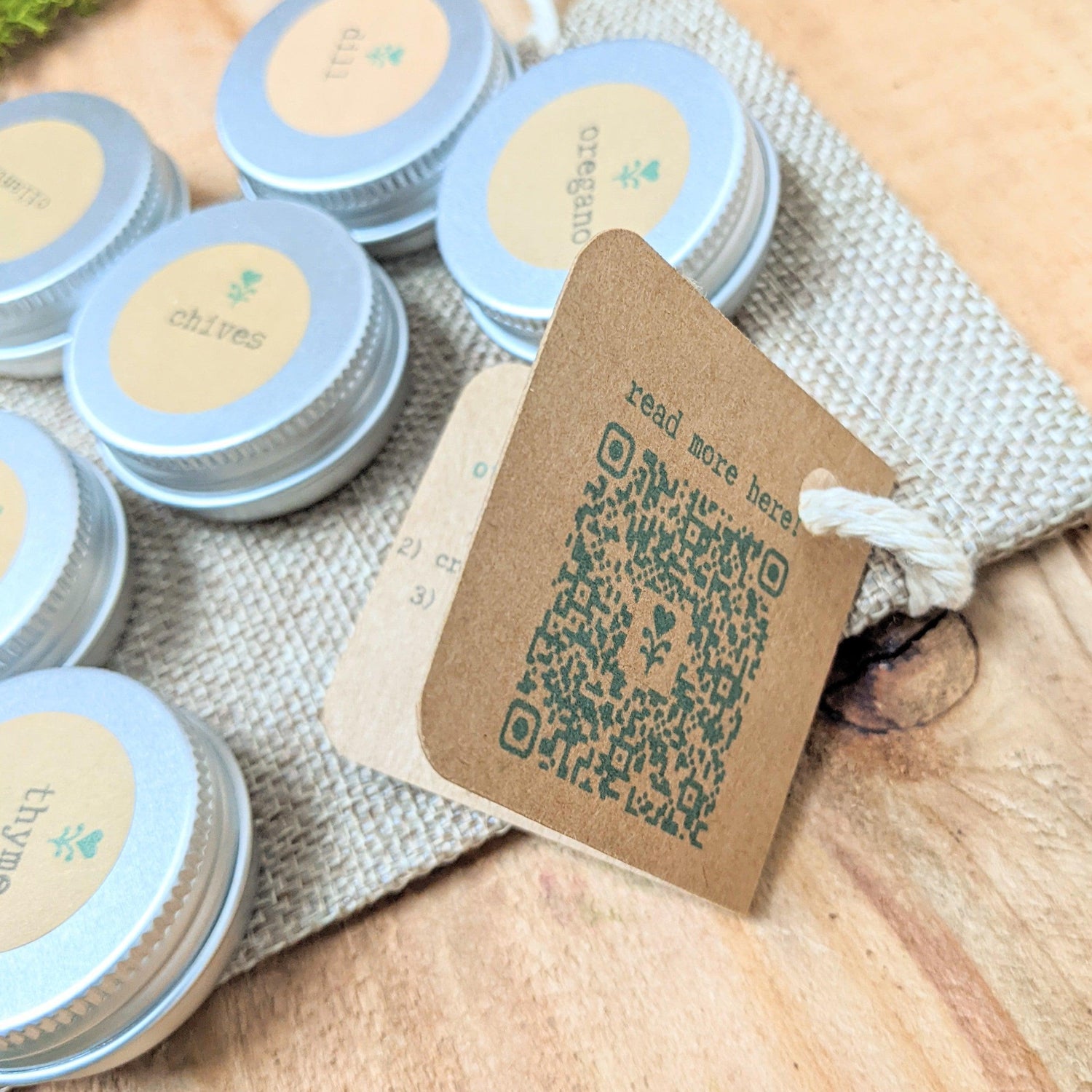 "Cooking Herbs" Seed Collection - Plantflix