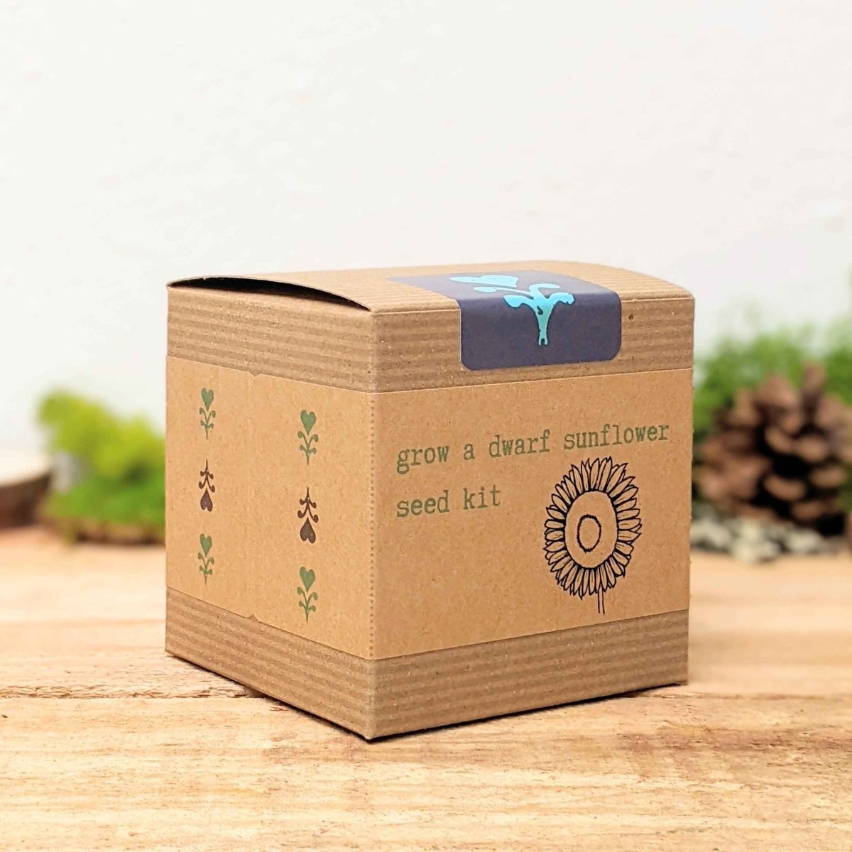 Dwarf Sunflower Beginner Grow Kit - Plantflix