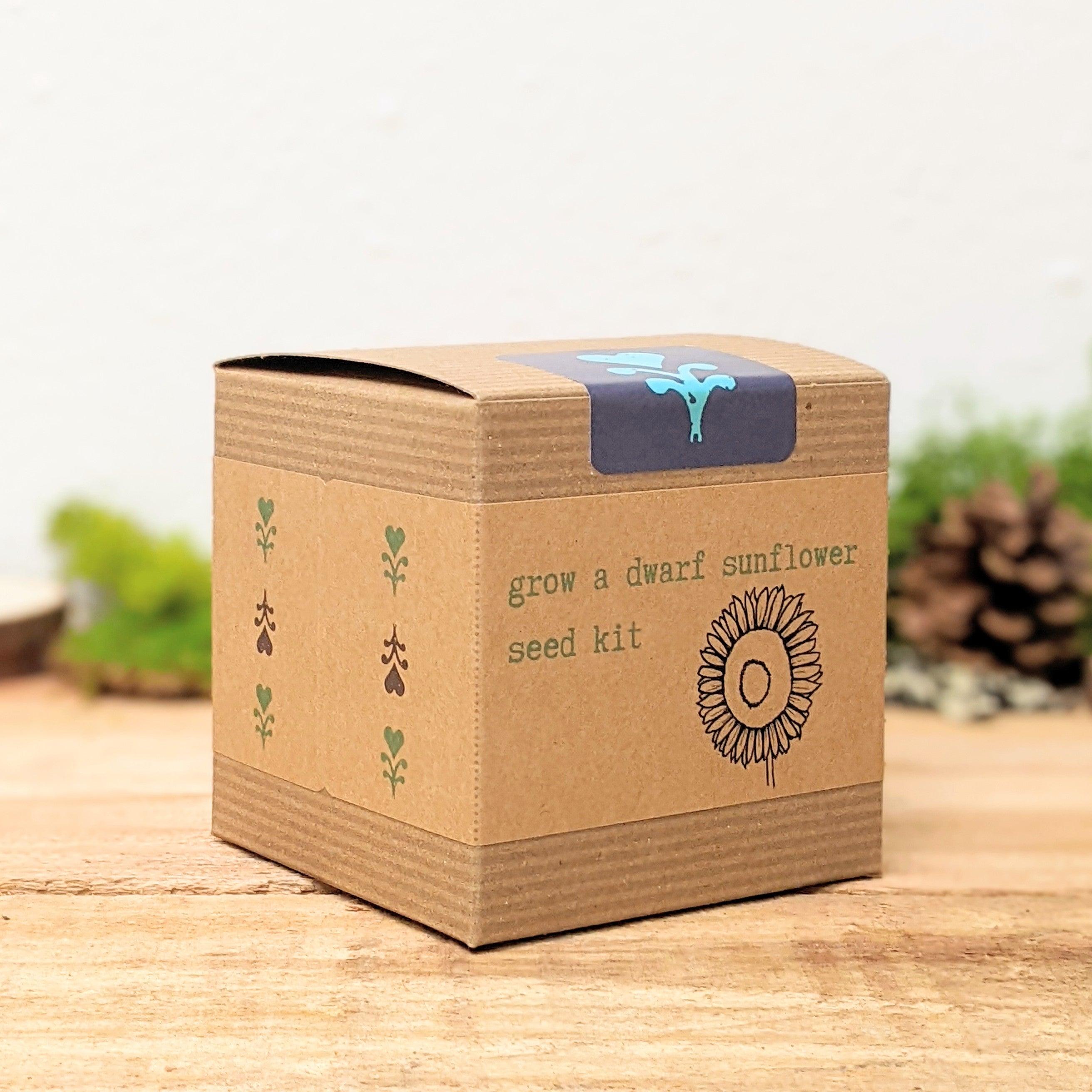 Dwarf Sunflower Beginner Grow Kit - Plantflix