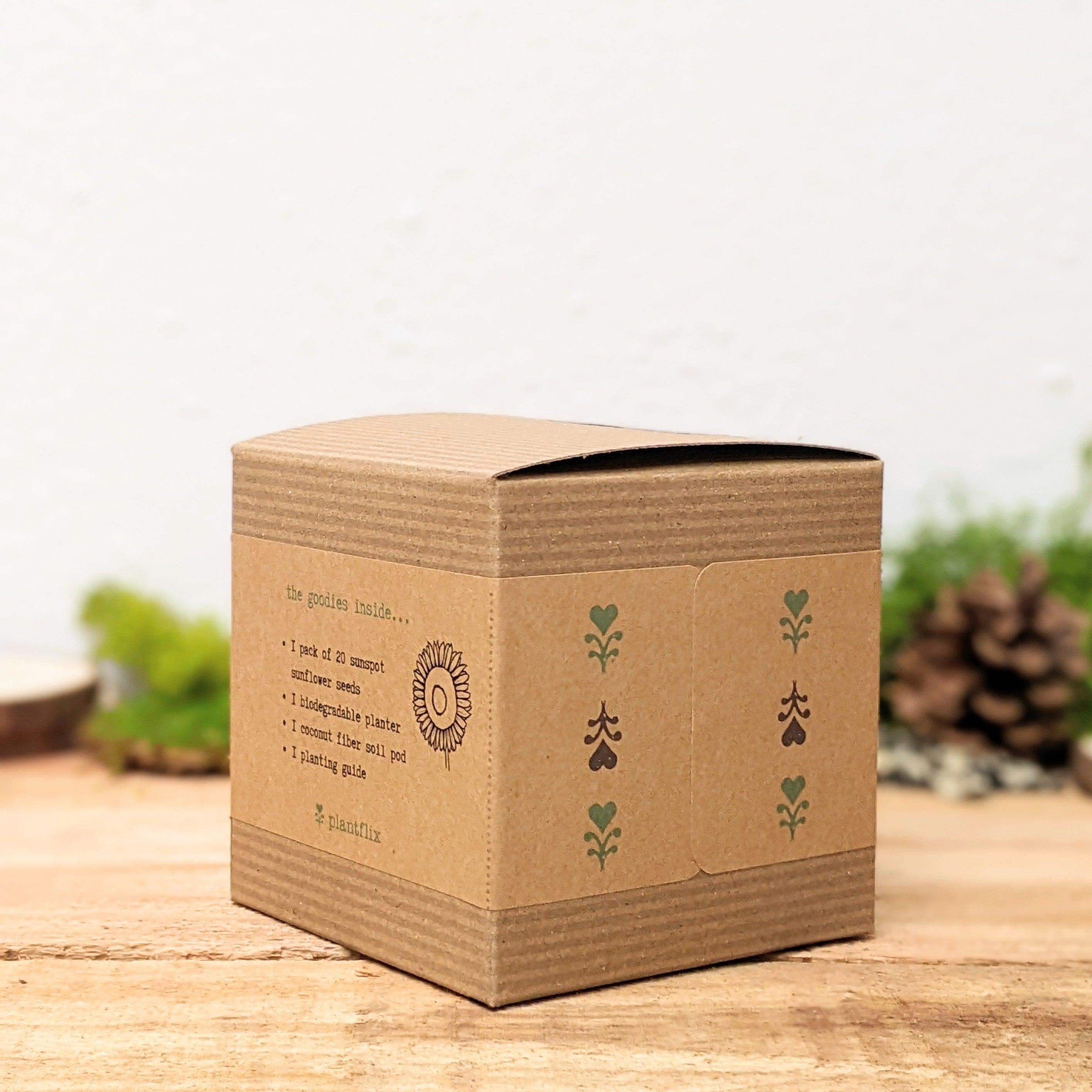 Dwarf Sunflower Beginner Grow Kit - Plantflix
