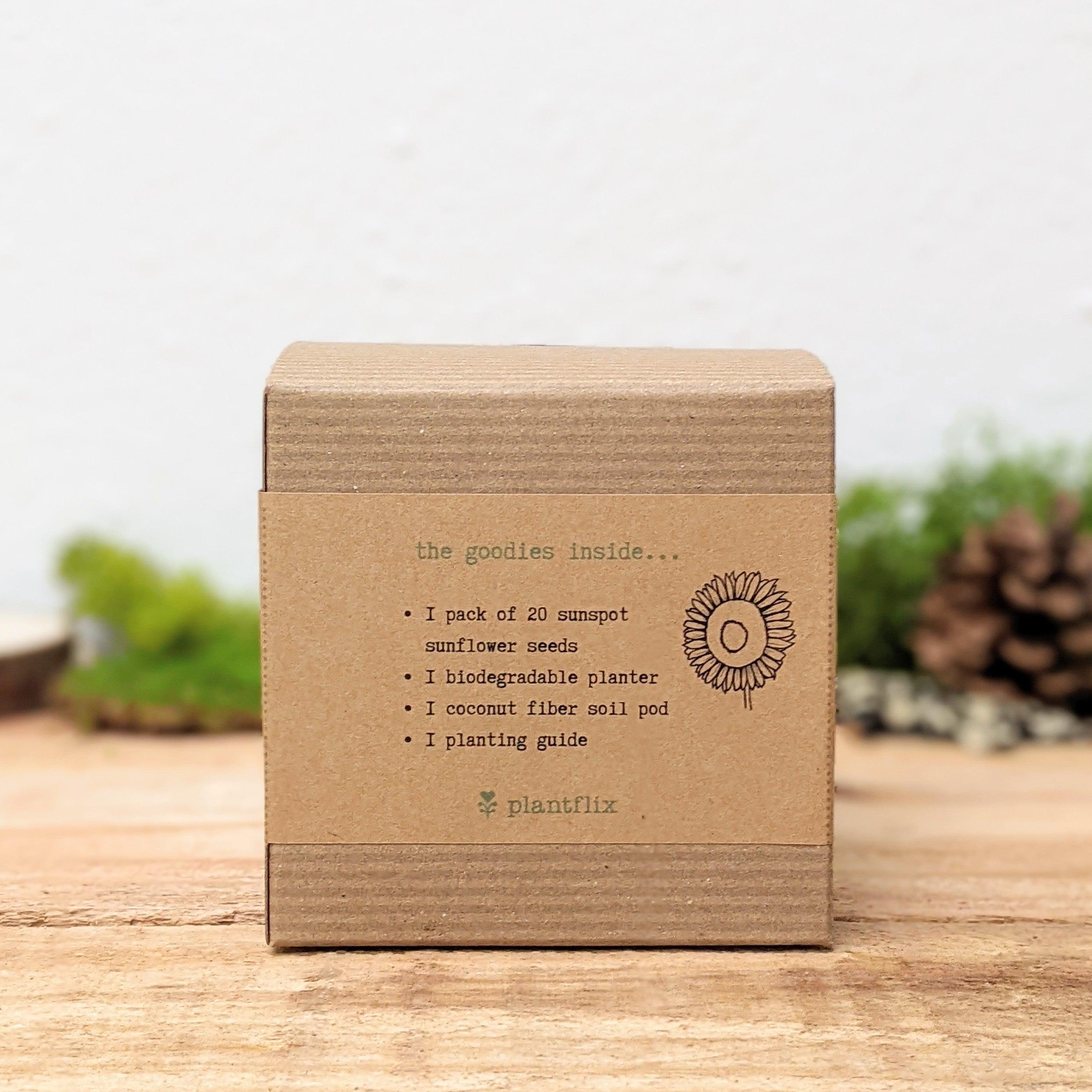 Dwarf Sunflower Beginner Grow Kit - Plantflix