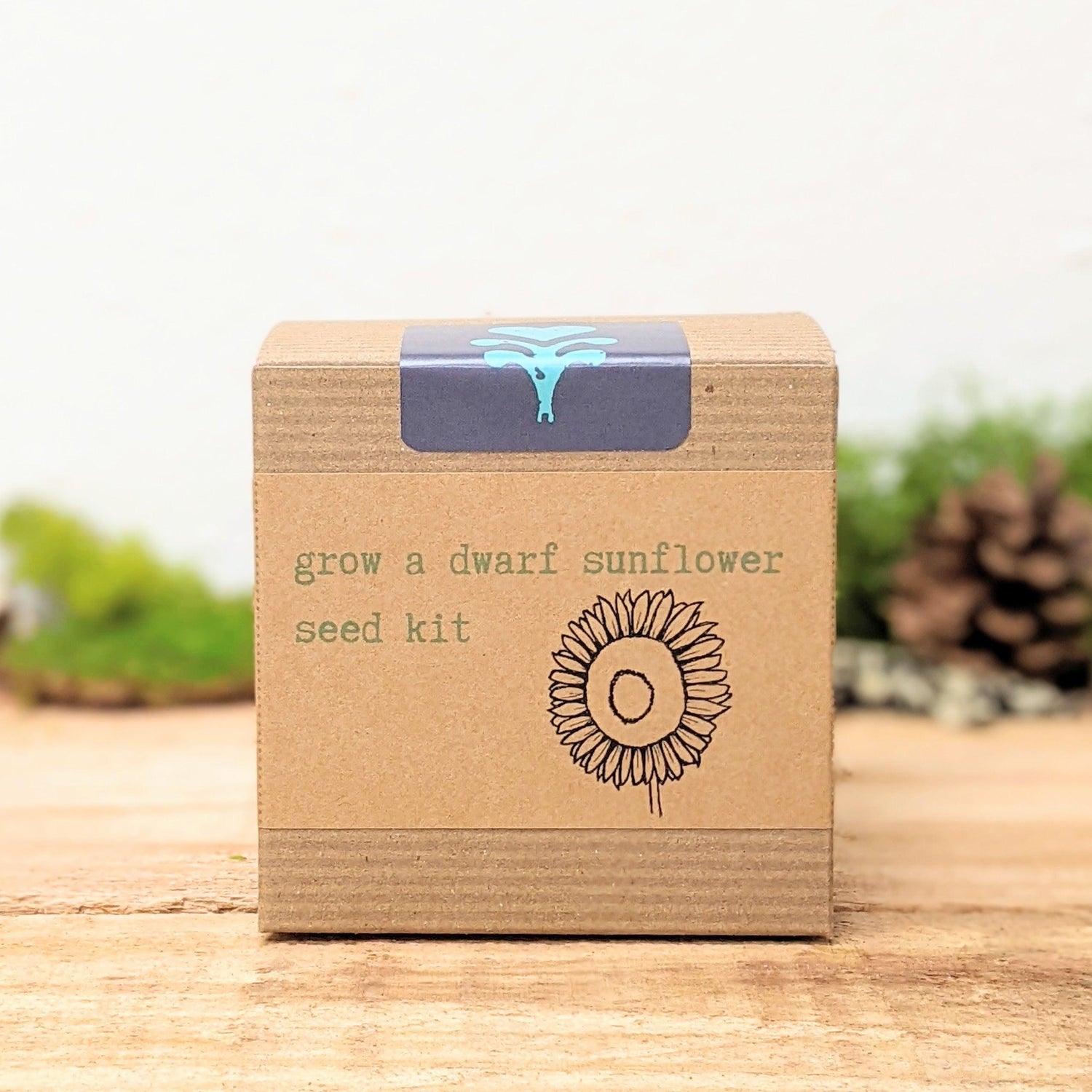 Dwarf Sunflower Beginner Grow Kit - Plantflix