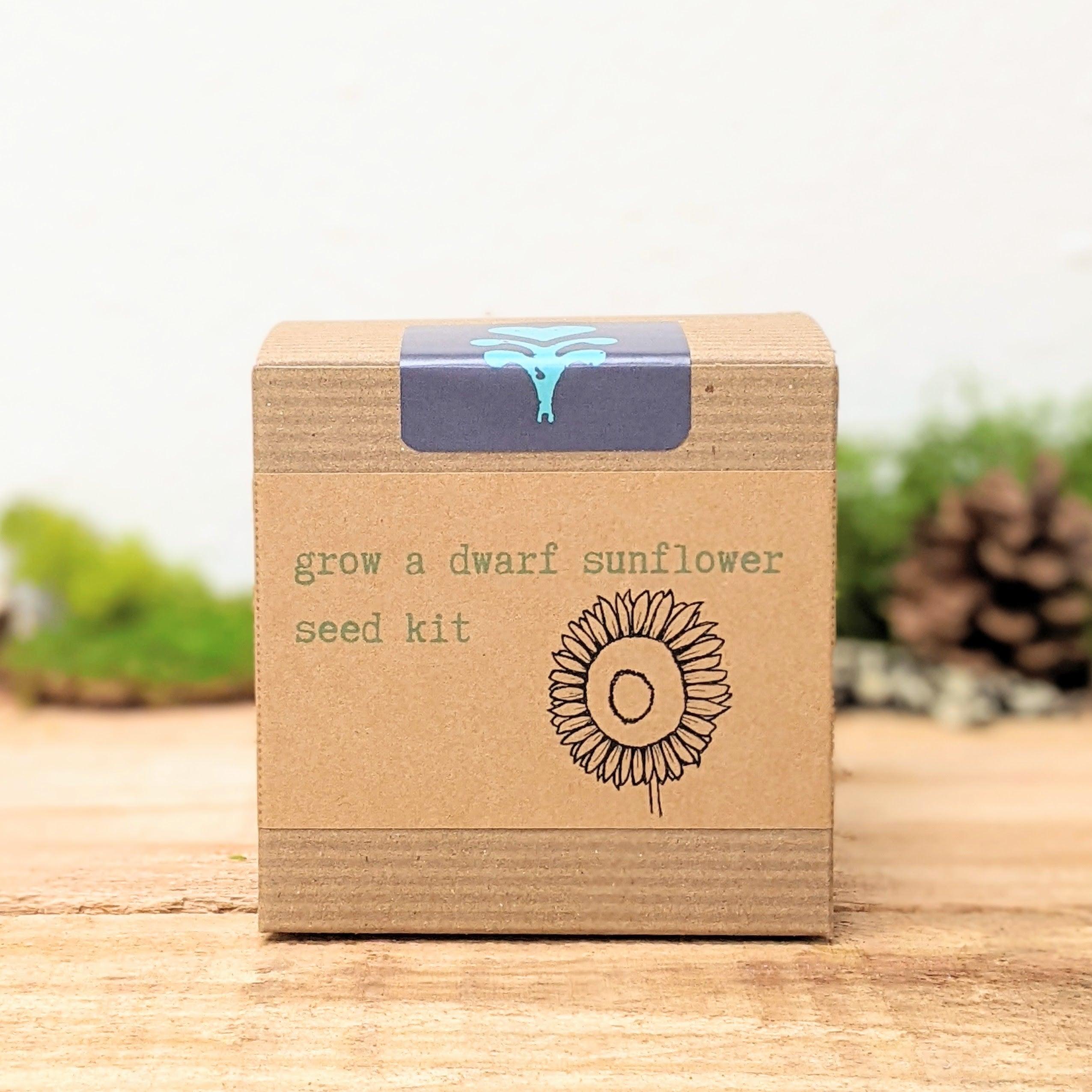Dwarf Sunflower Beginner Grow Kit - Plantflix