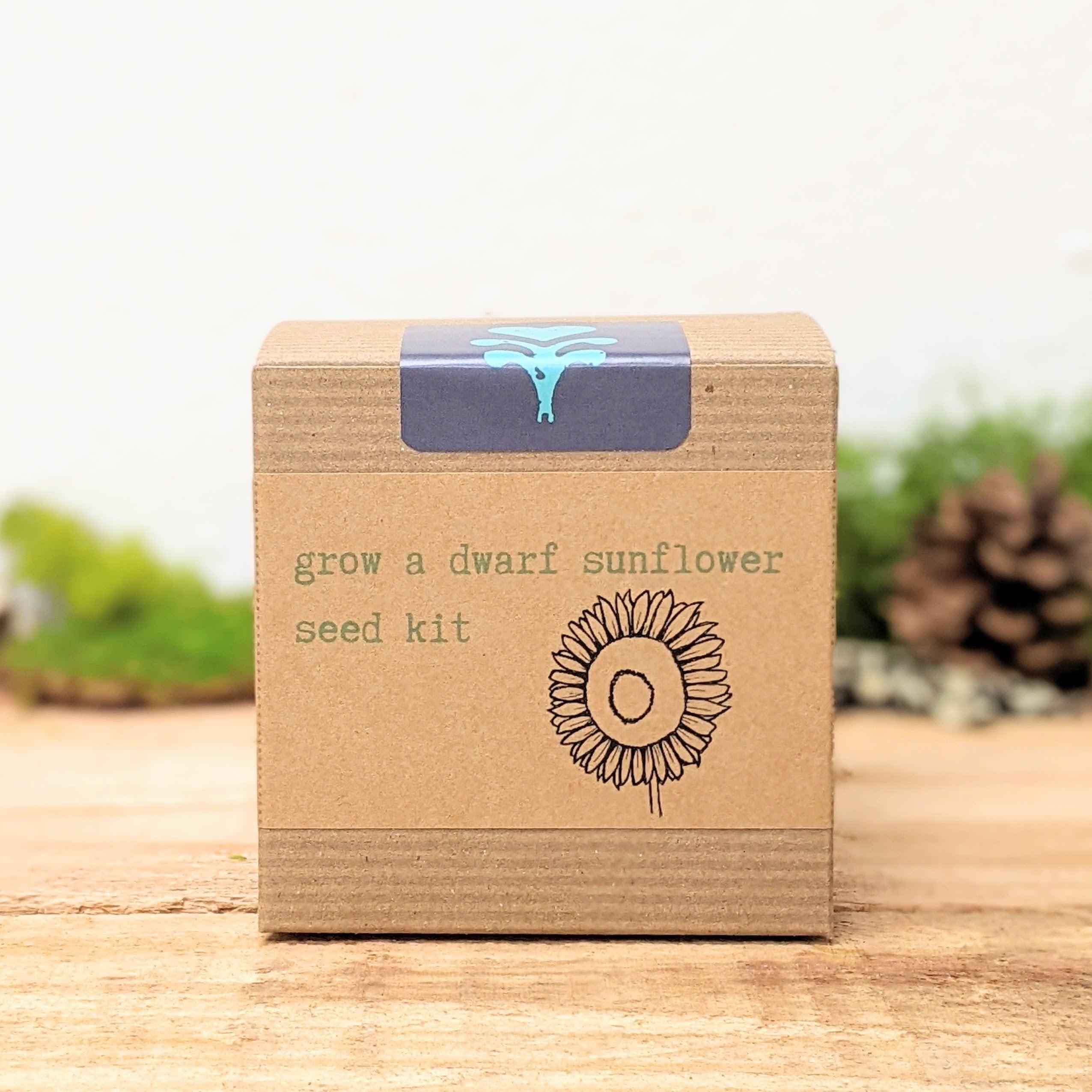 Dwarf Sunflower Beginner Grow Kit