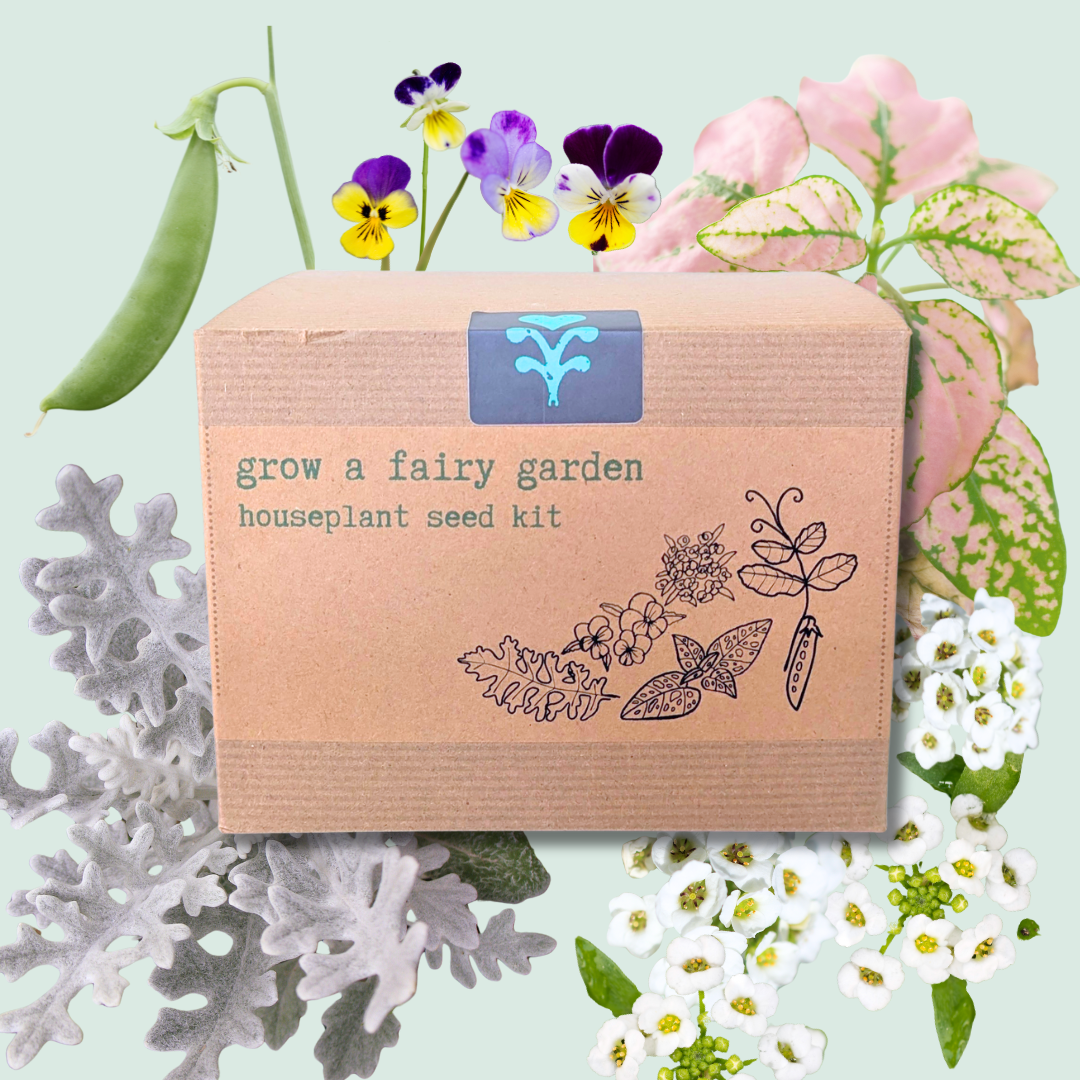 "Grow a Fairy Garden" Houseplant Seed Kit
