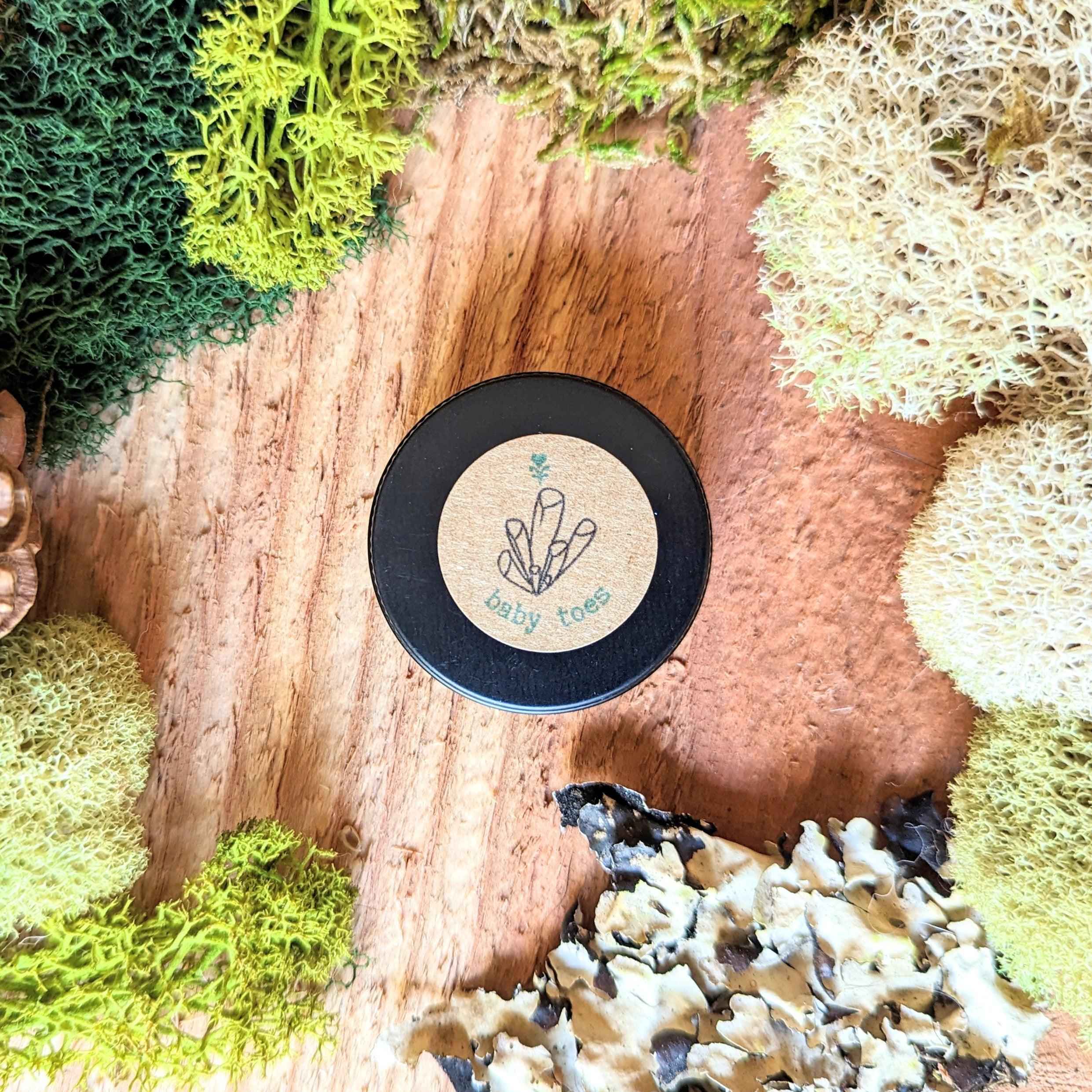 Fenestraria Aurantiaca (Baby Toes, Window Plant) Seeds