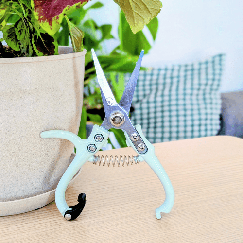 Foliage Shears - Lost in the Forest - Plantflix