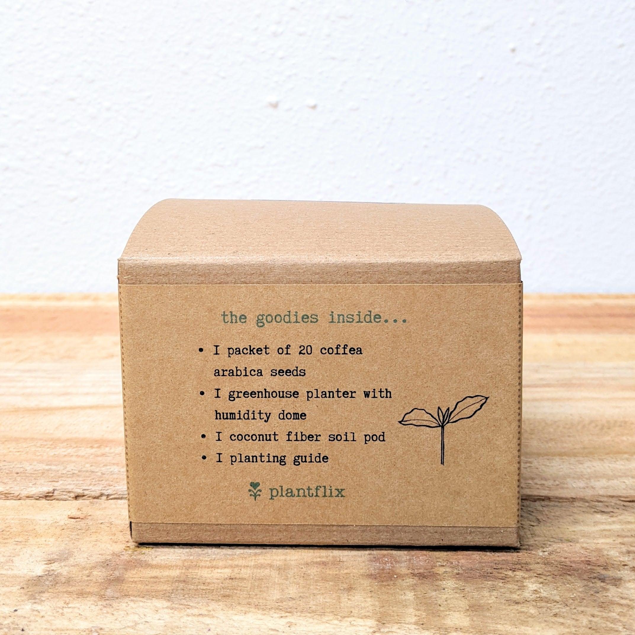 Grow a Coffee Plant Seed Kit - Plantflix