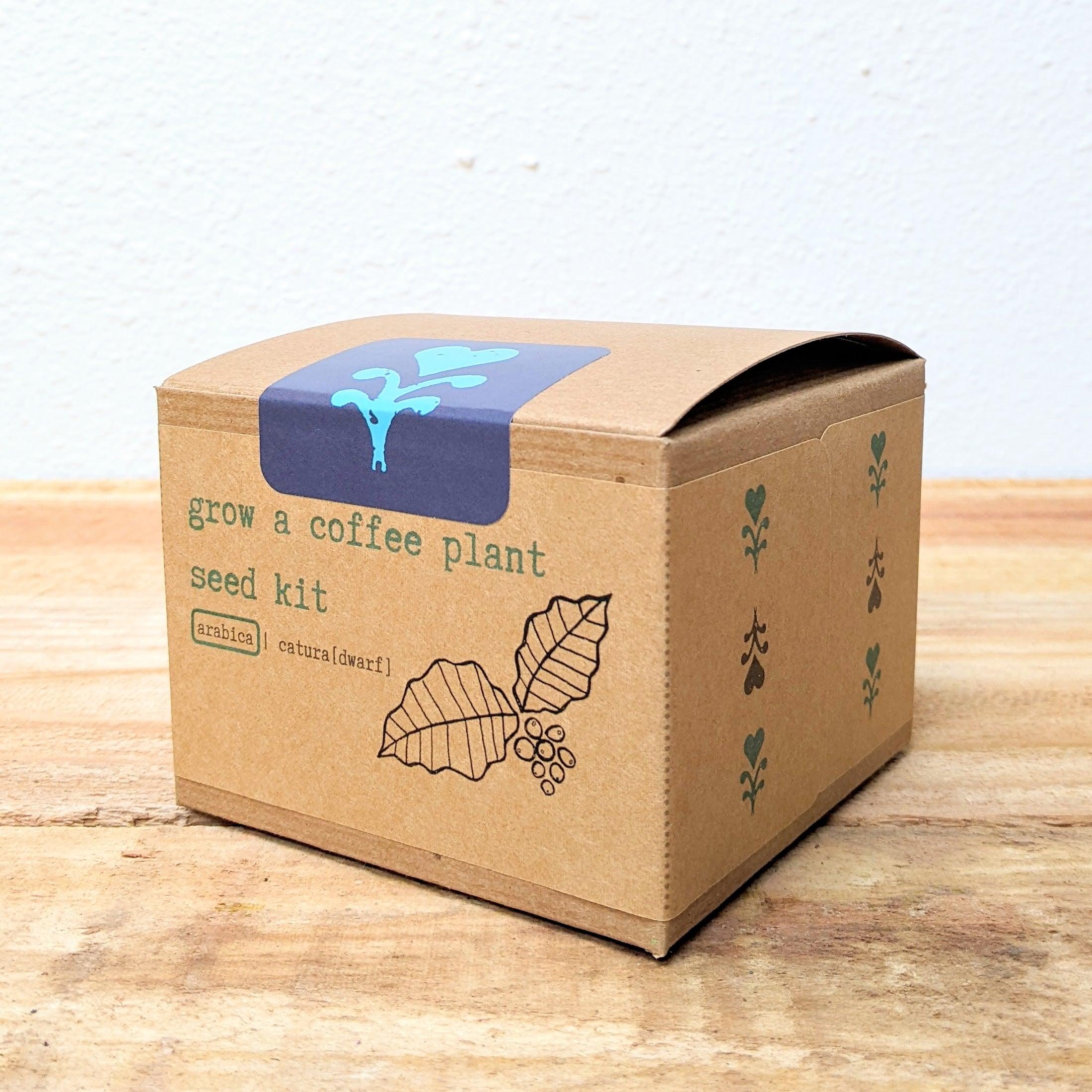 Grow a Coffee Plant Seed Kit - Plantflix
