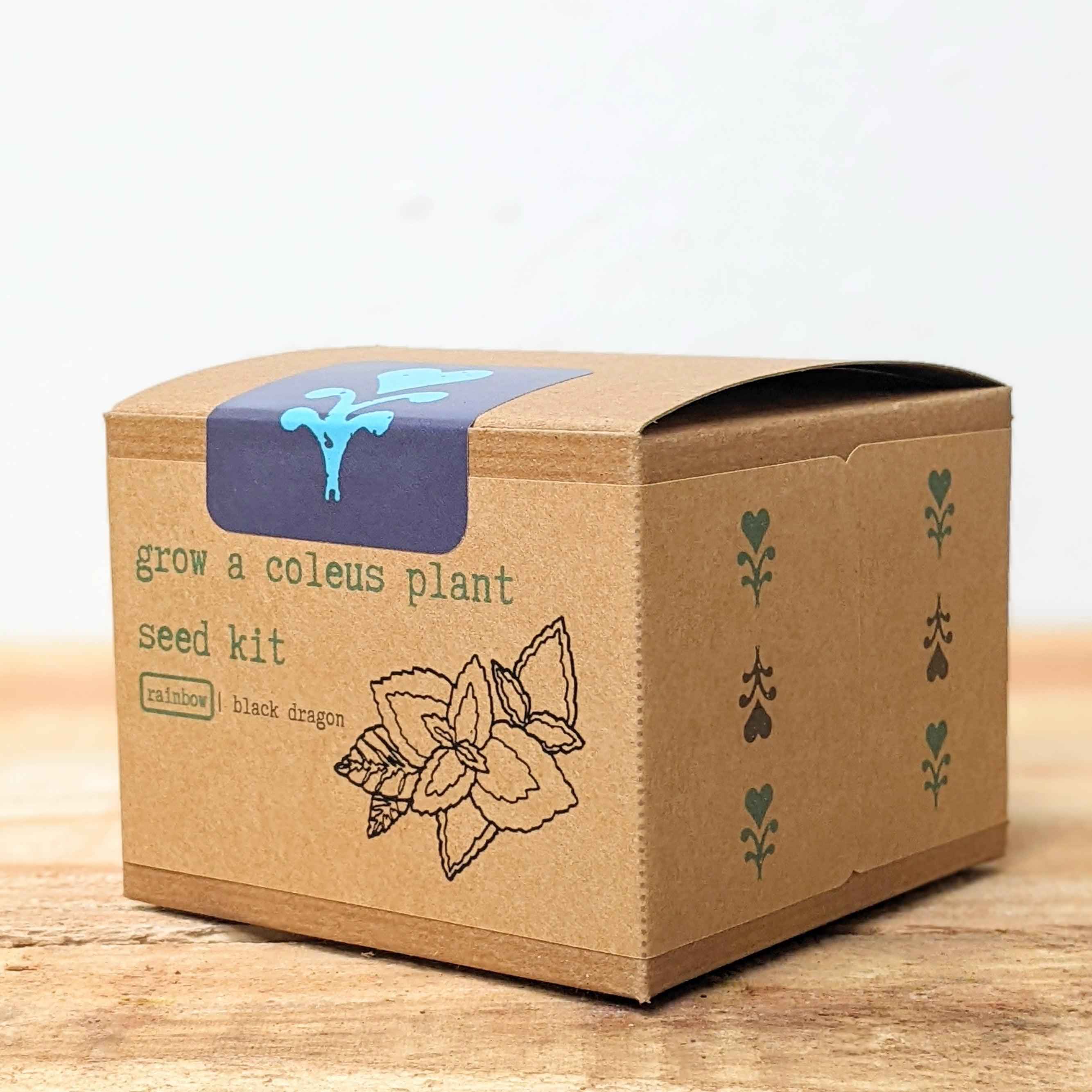 Grow a Coleus Seed Kit