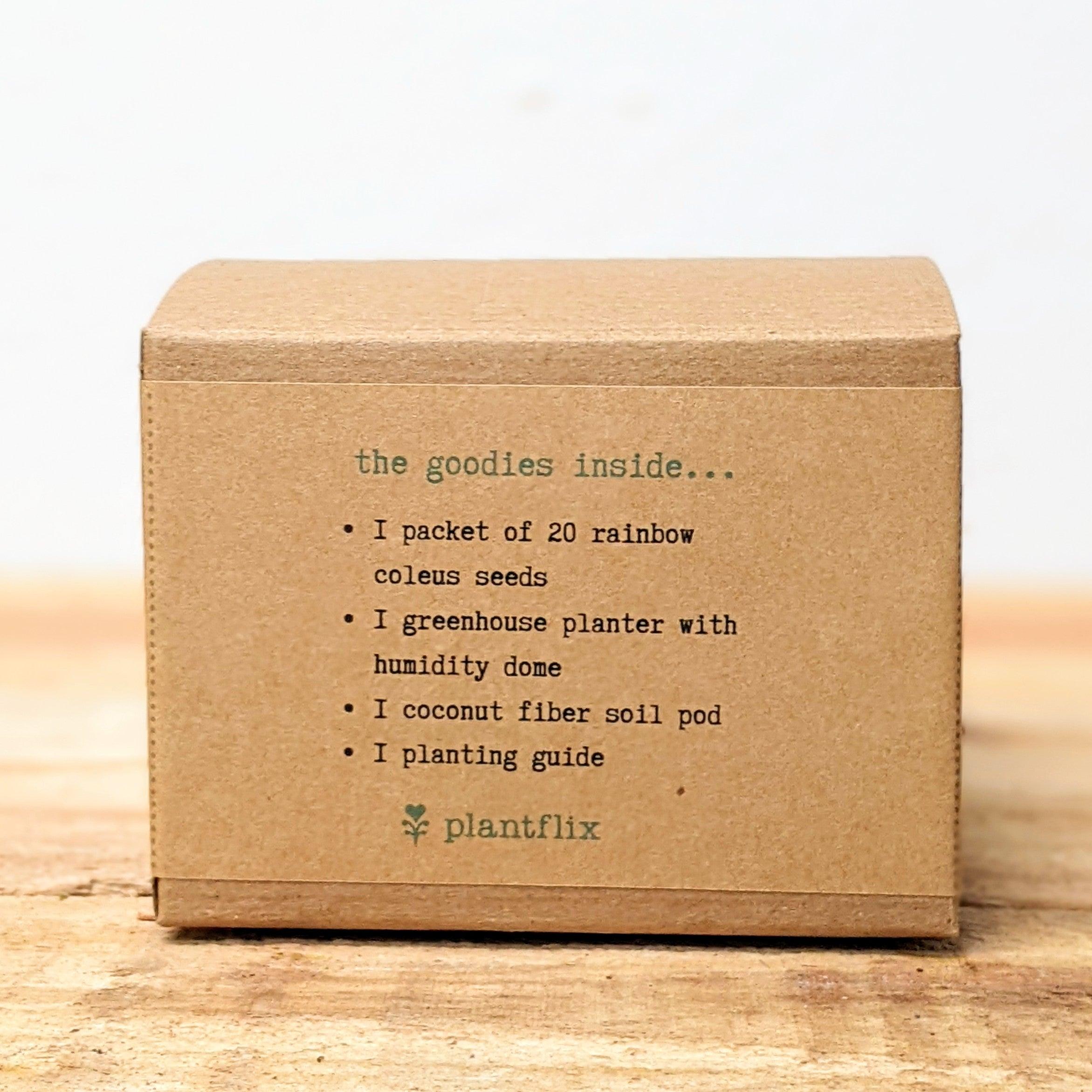 Grow a Coleus Seed Kit - Plantflix