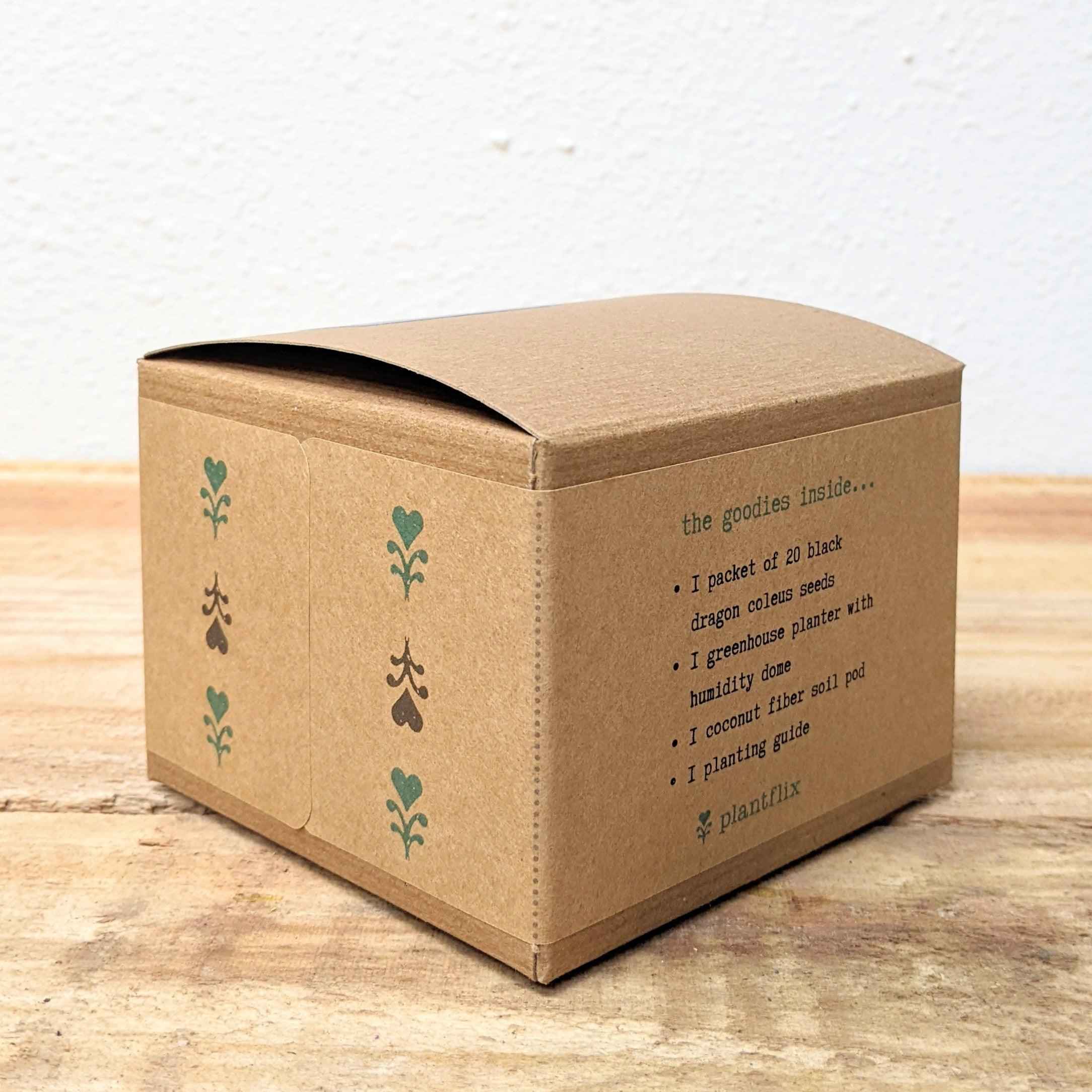 Grow a Coleus Seed Kit