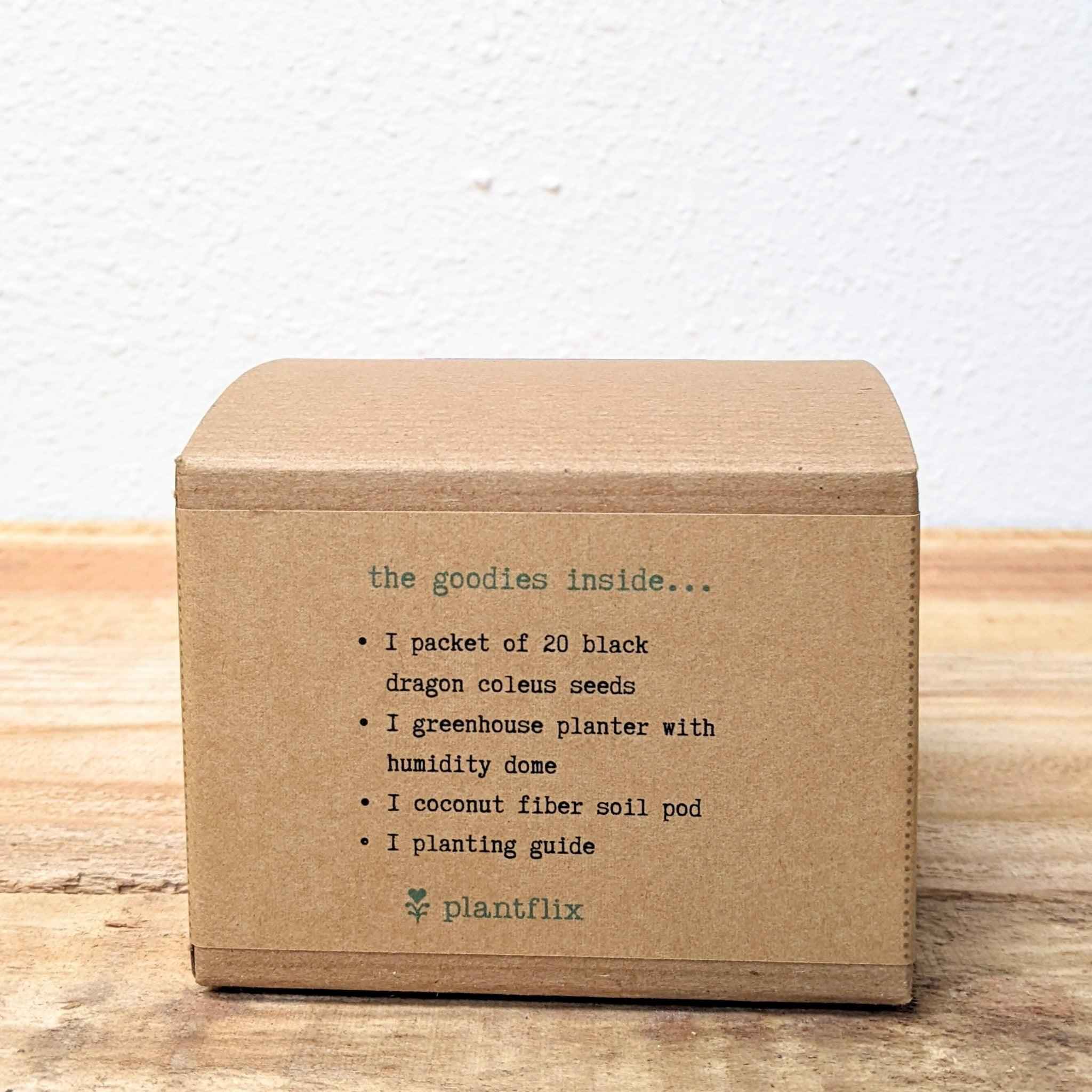 Grow a Coleus Seed Kit