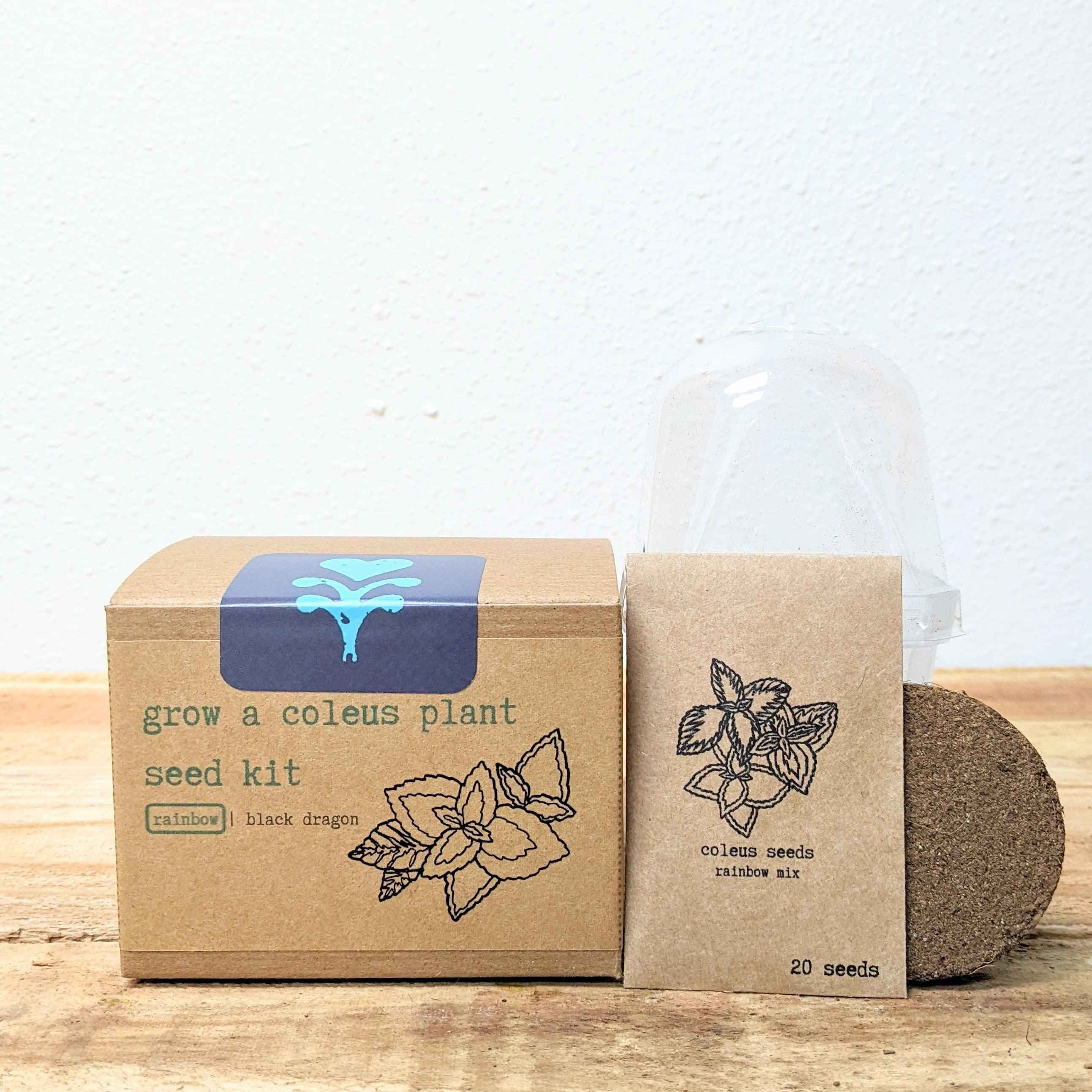 Grow a Coleus Seed Kit