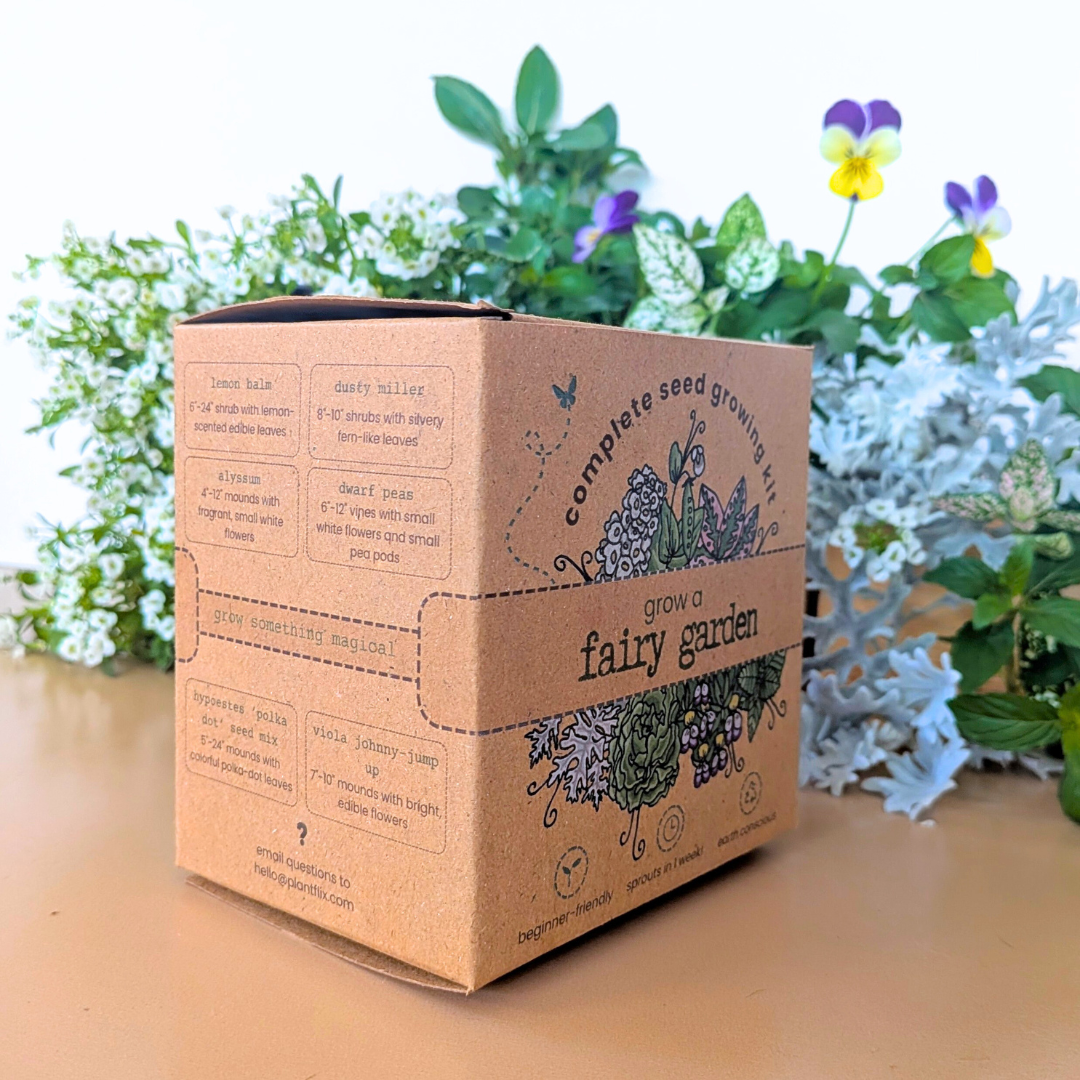 Grow a Fairy Garden Seed Kit - Plantflix