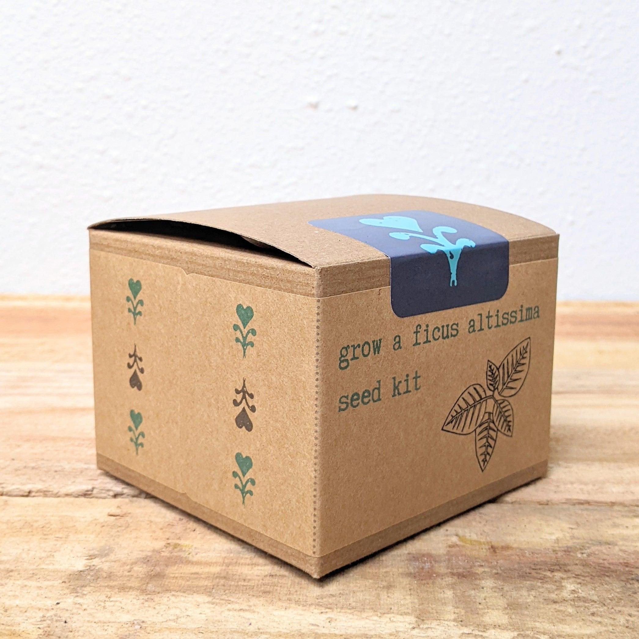 Grow a Ficus Altissima Seed Kit - Plantflix