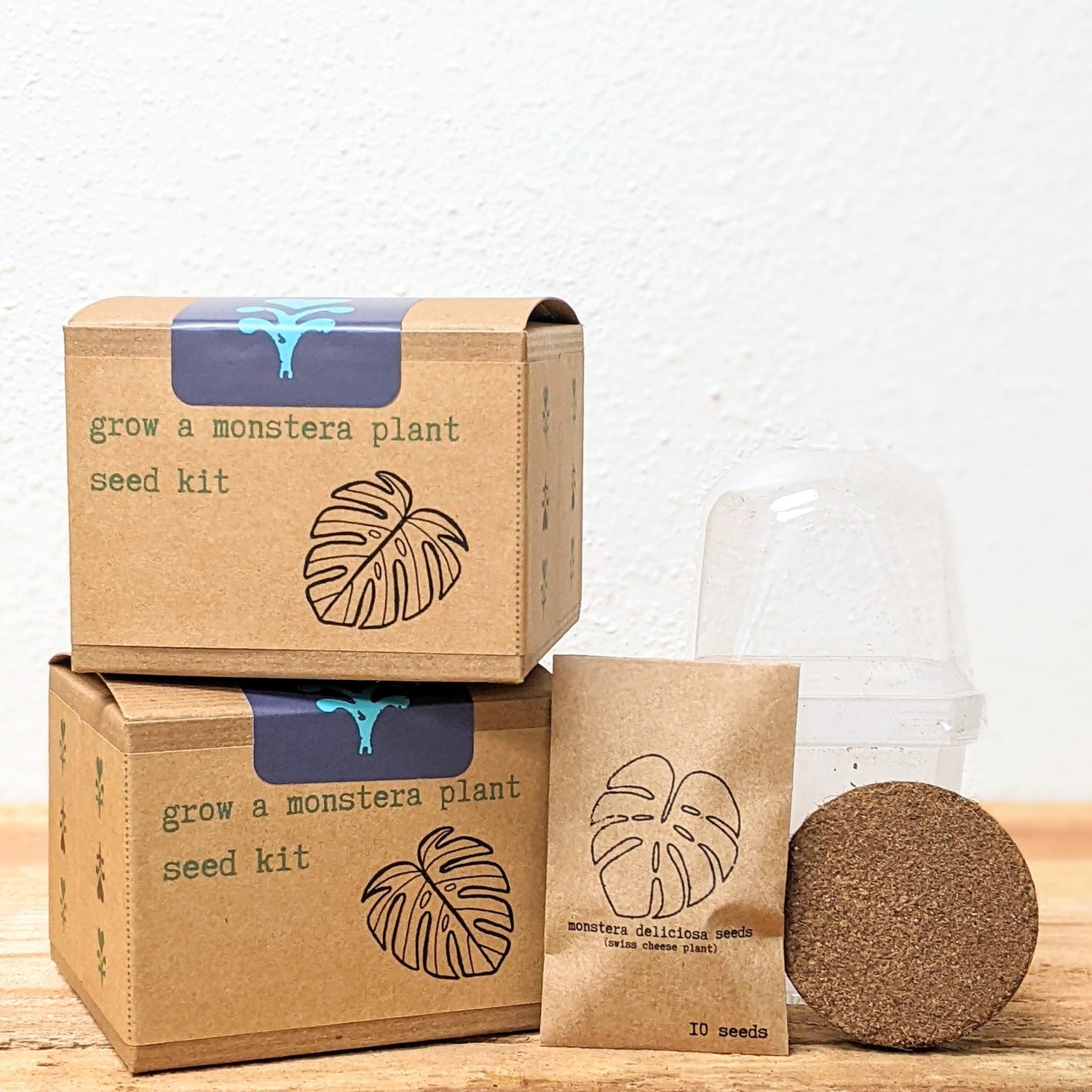 Grow a Monstera Seed Kit - Plantflix