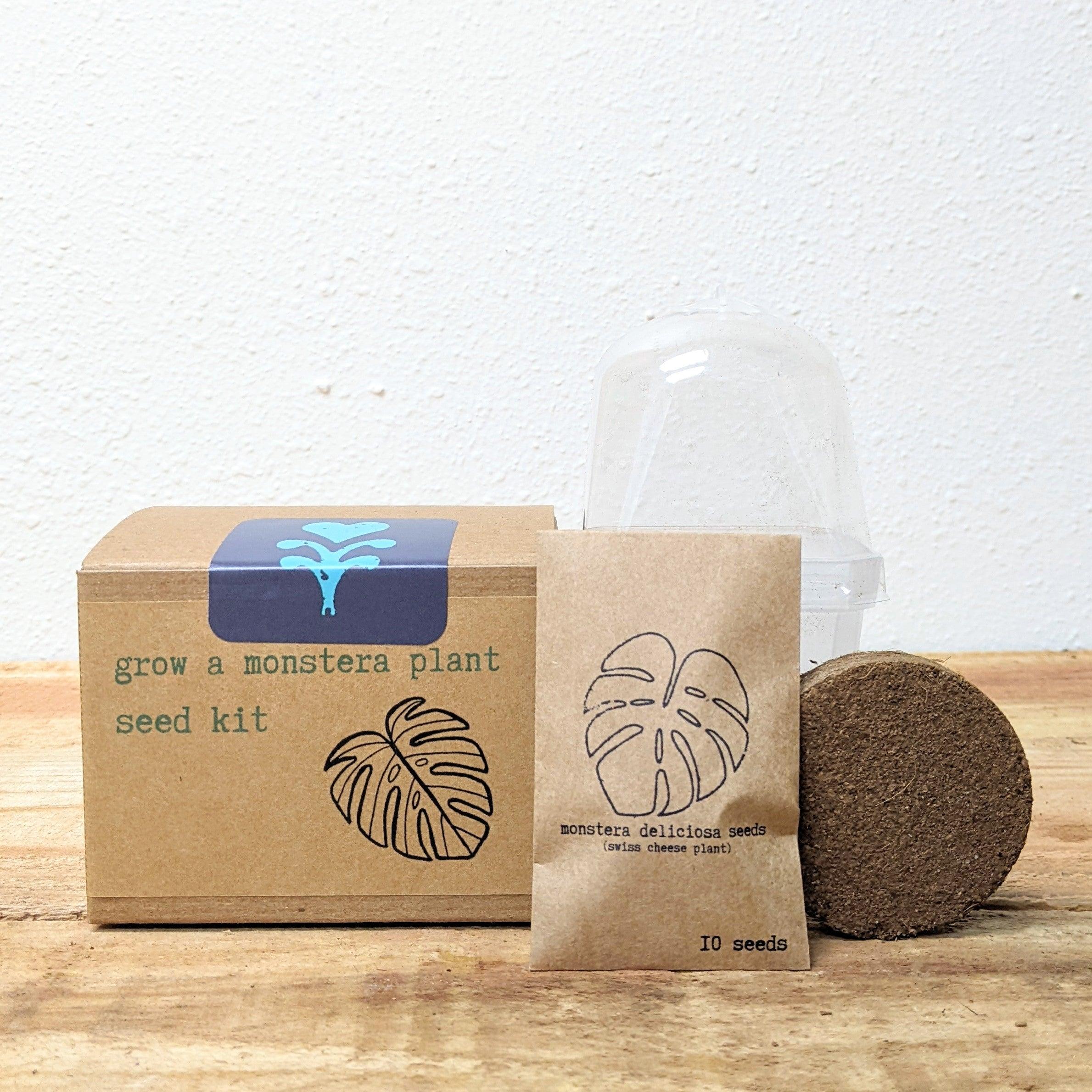 Grow a Monstera Seed Kit - Plantflix