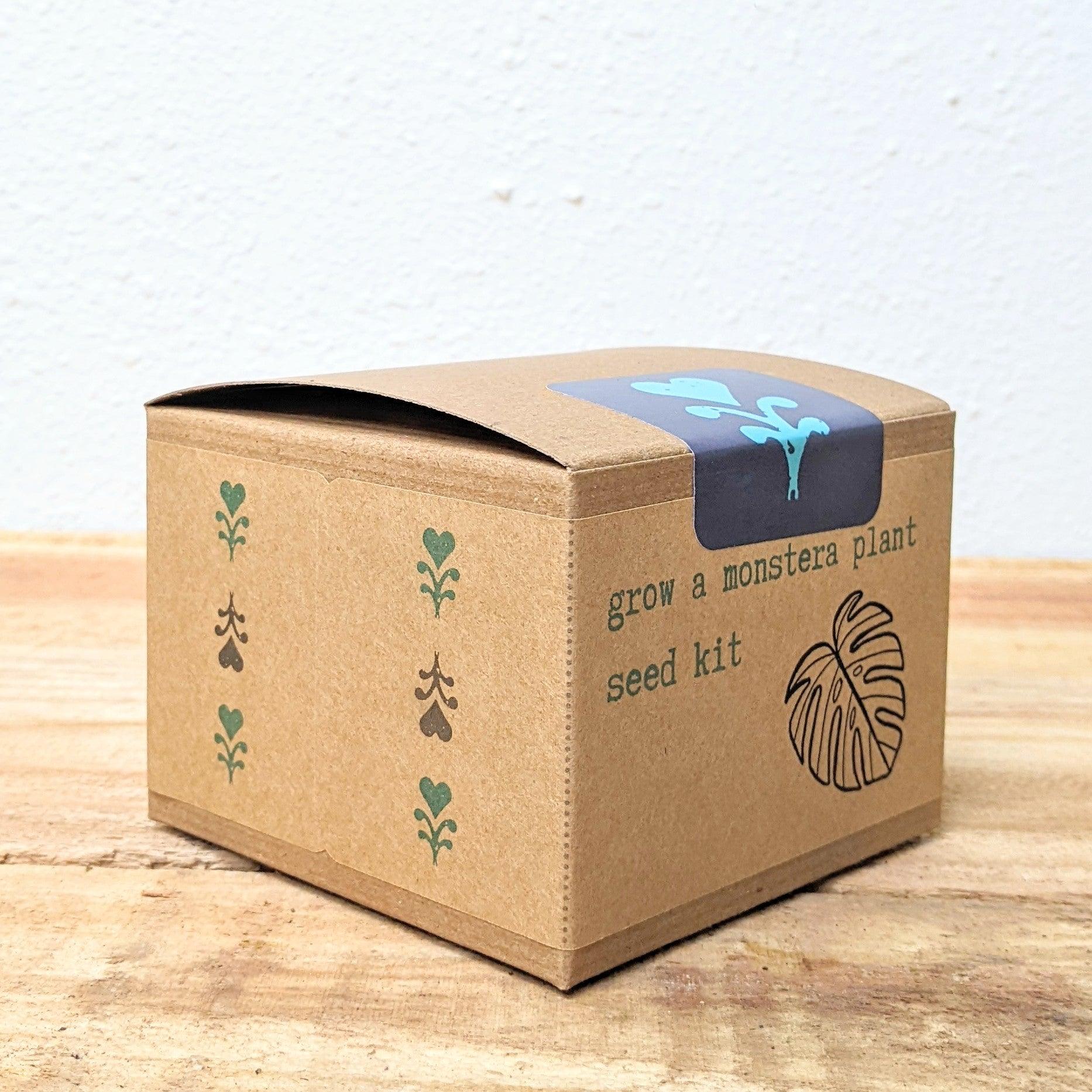 Grow a Monstera Seed Kit - Plantflix