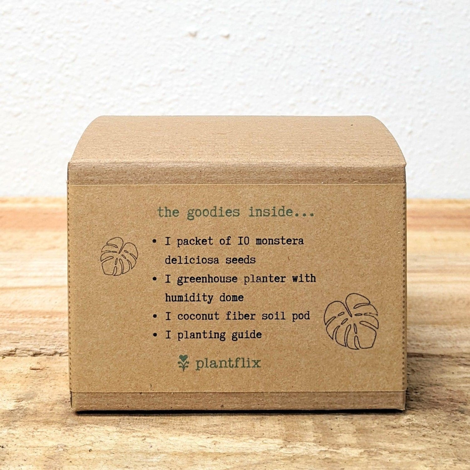 Grow a Monstera Seed Kit - Plantflix