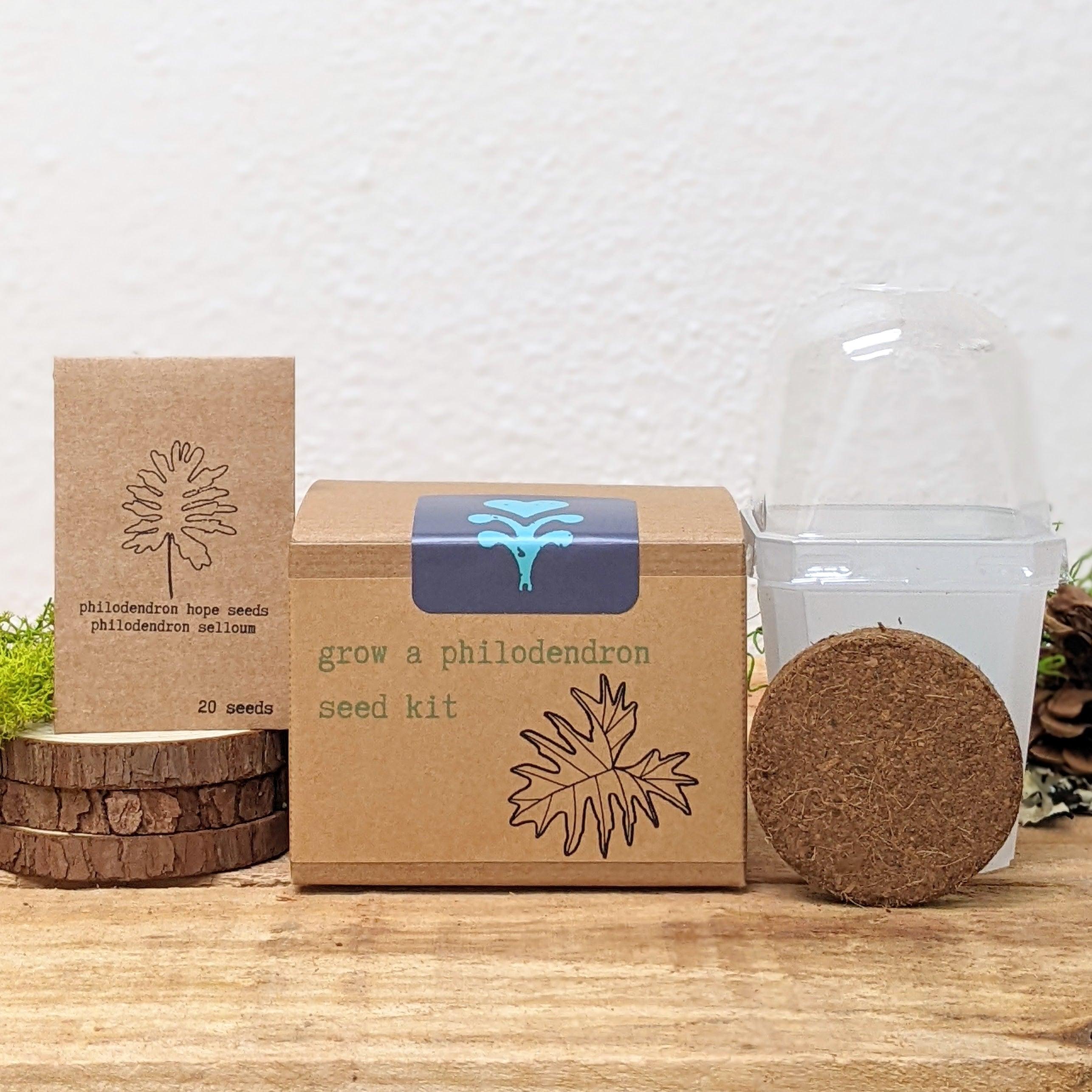 Grow a Philodendron Seed Kit - Plantflix
