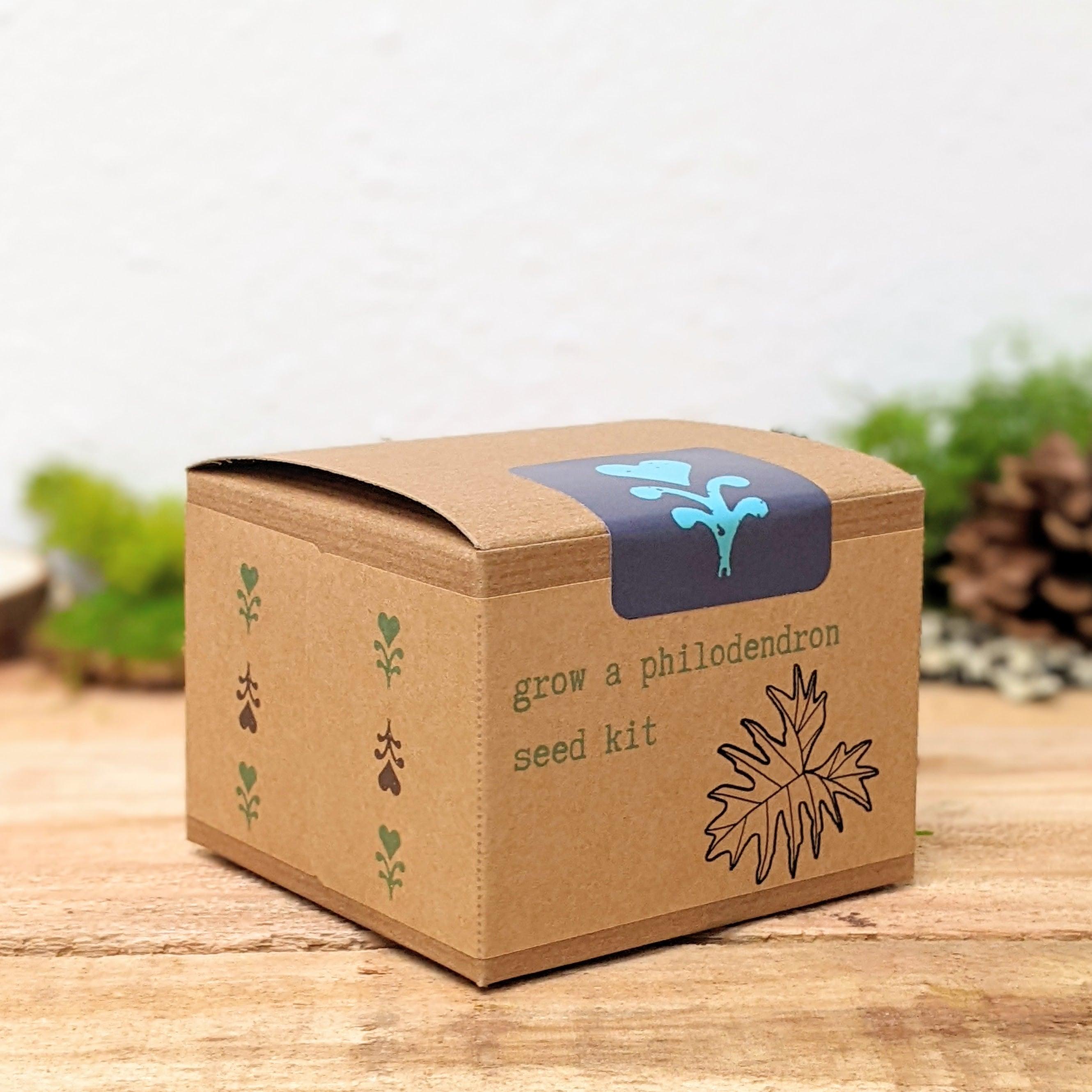 Grow a Philodendron Seed Kit - Plantflix