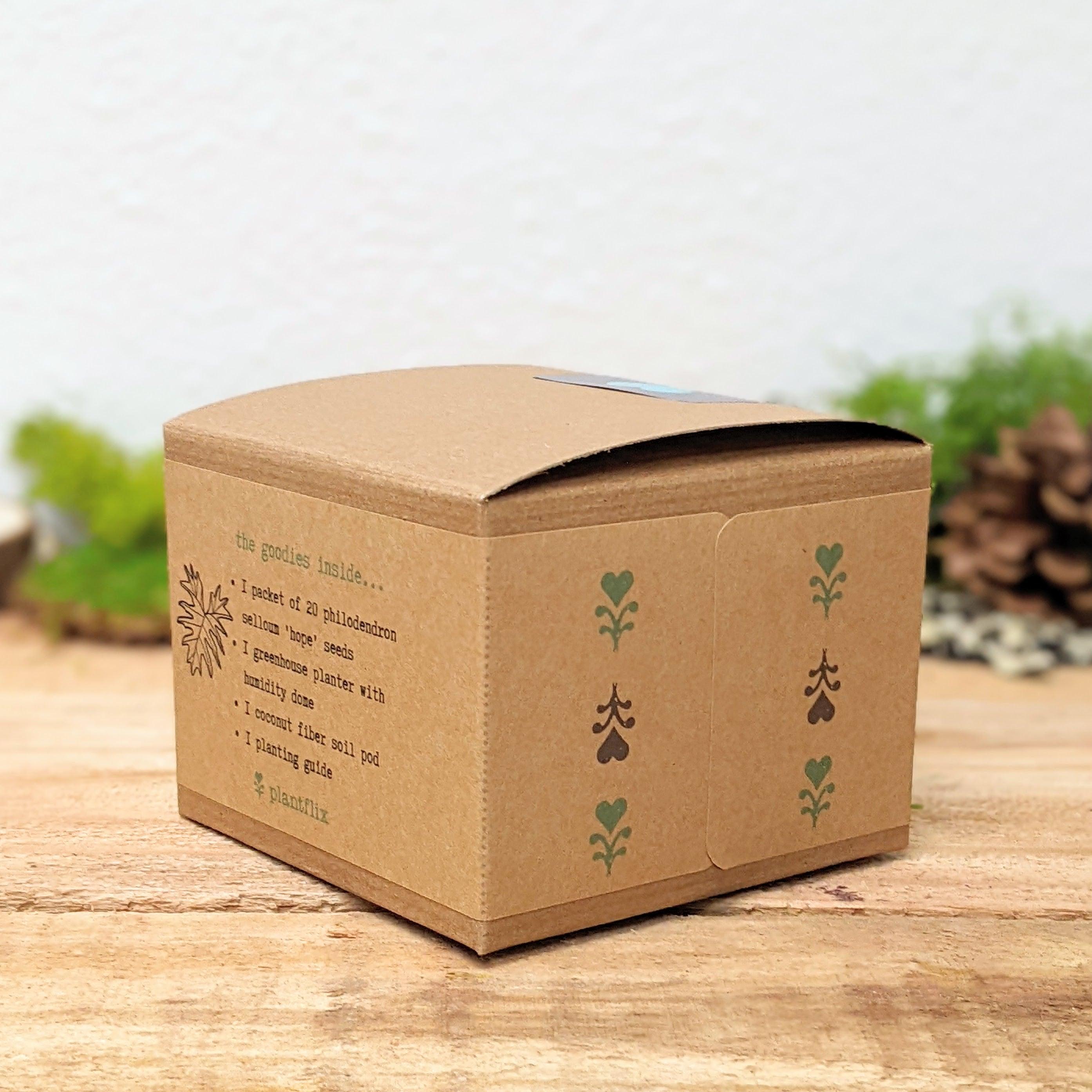 Grow a Philodendron Seed Kit - Plantflix