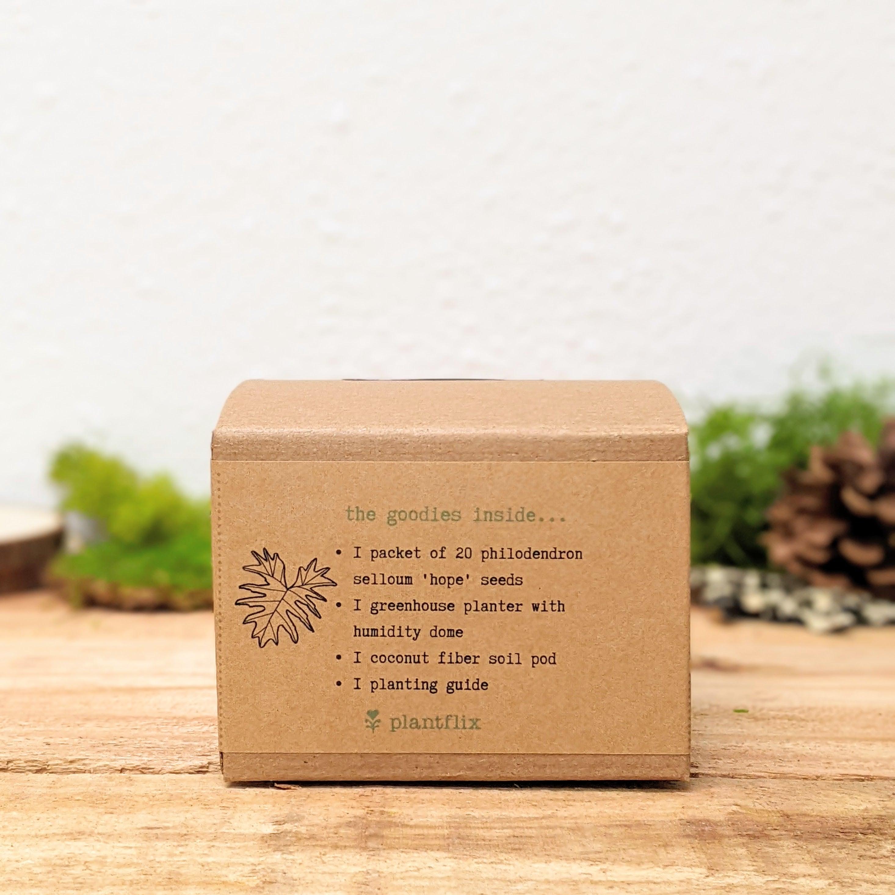 Grow a Philodendron Seed Kit - Plantflix