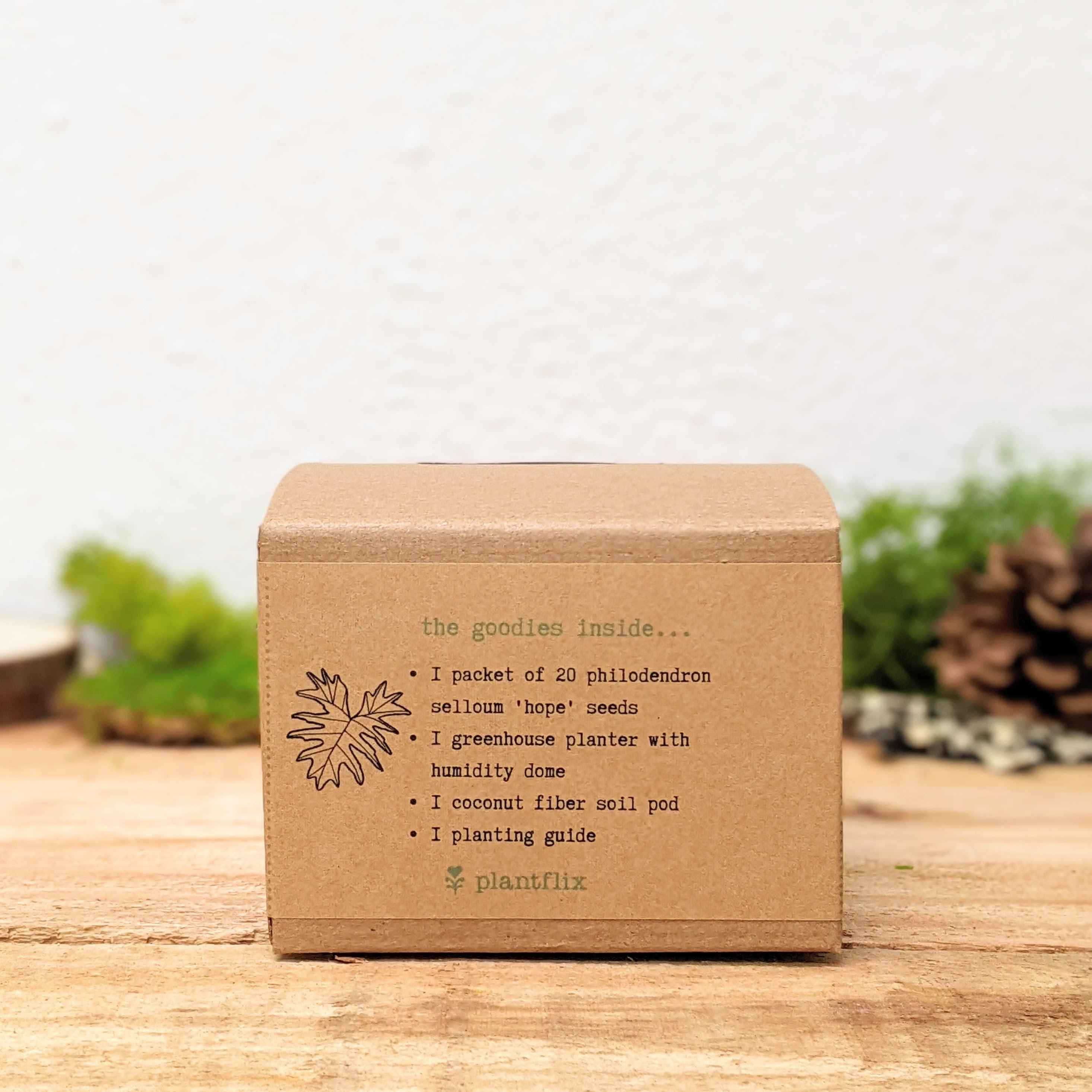 Grow a Philodendron Seed Kit