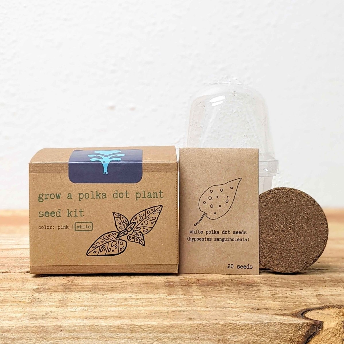 Grow a Polka Dot Seed Kit - Plantflix