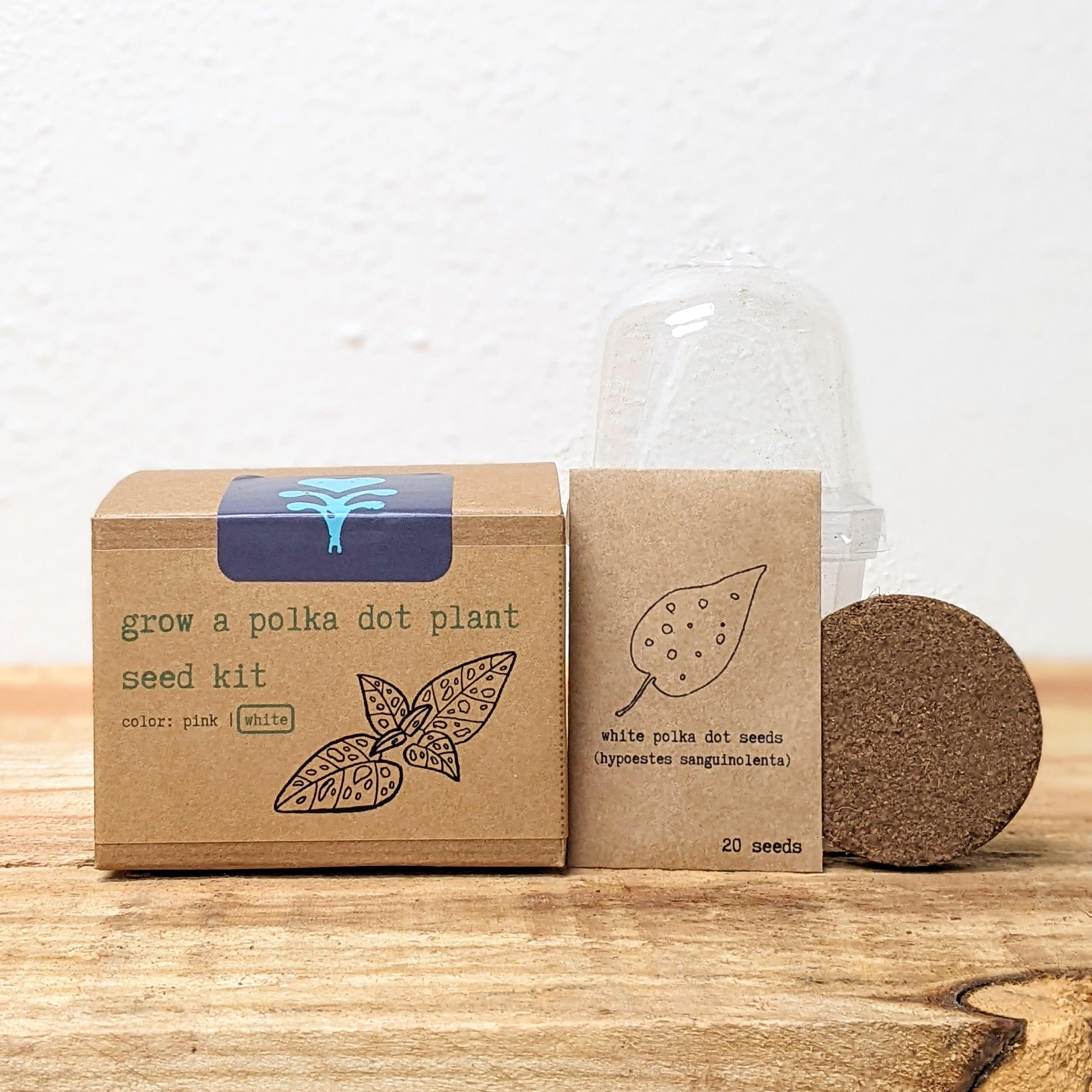 Grow a Polka Dot Seed Kit - Plantflix
