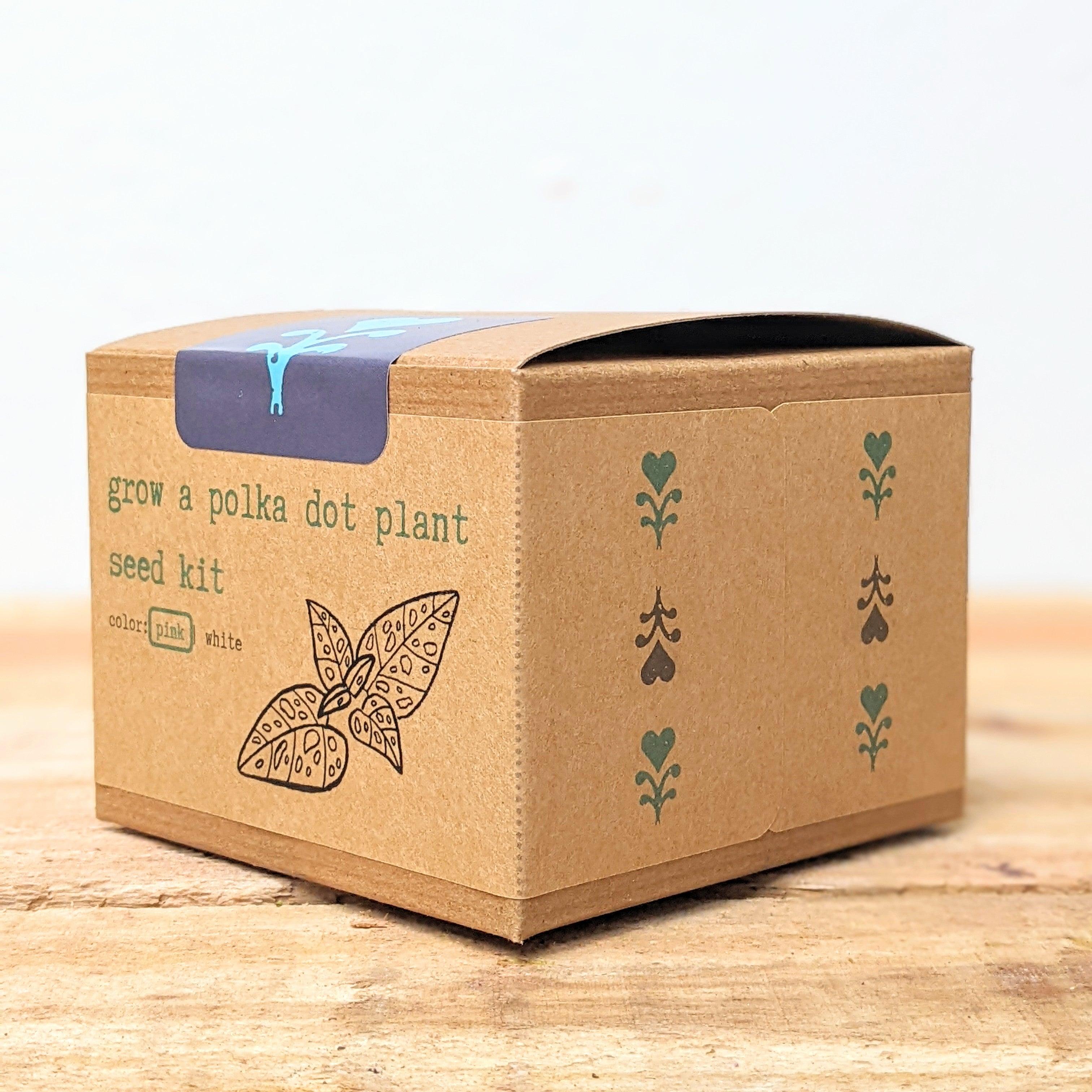 Grow a Polka Dot Seed Kit - Plantflix